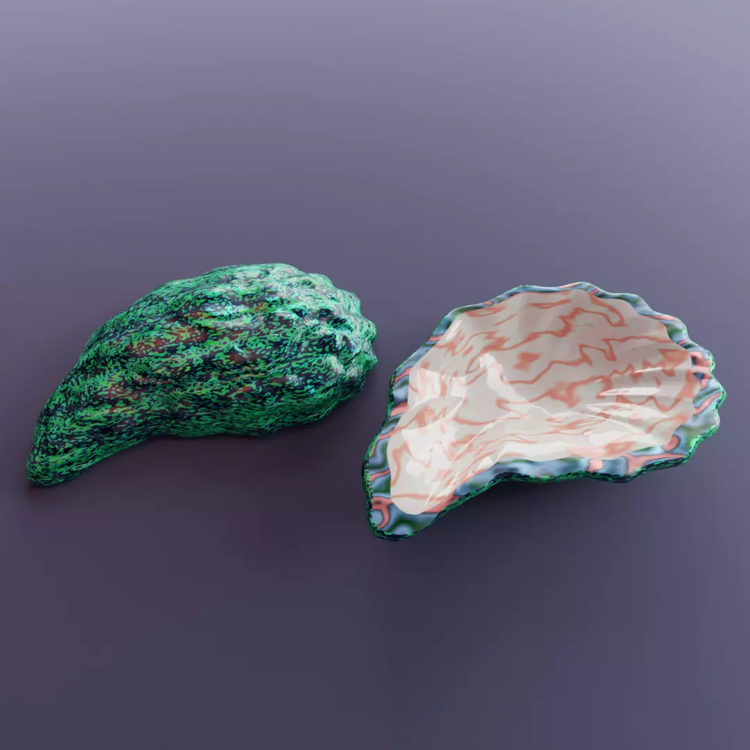 Oceanic Gem oyster shell 2 3D print model
