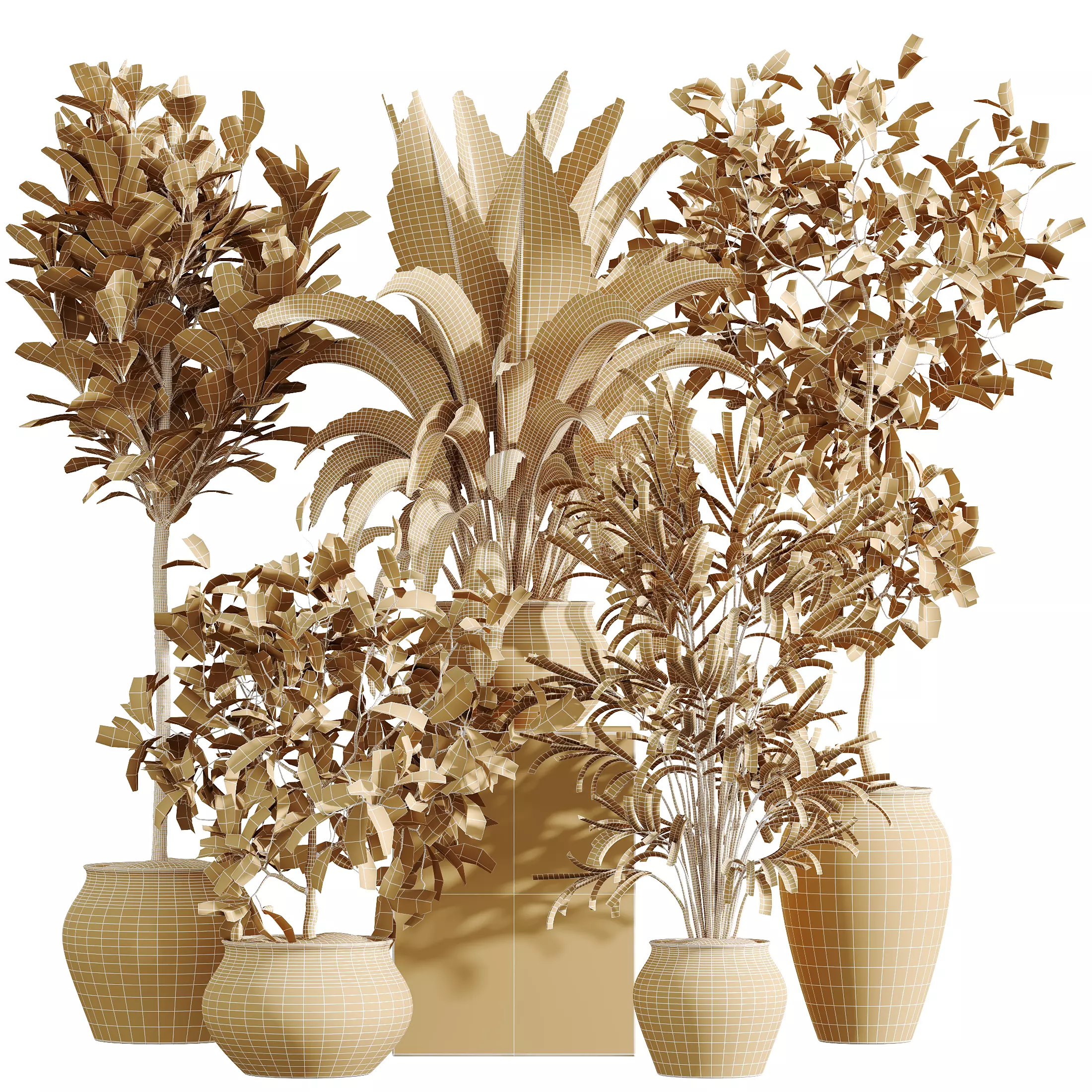 AV Indoor Plants Set 366 Briful Pachira Palm Ficus ParadiseBird 3D model_8