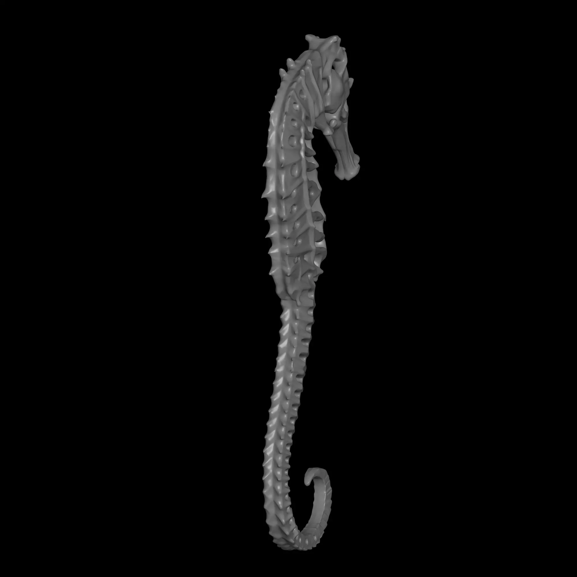 skeleton sea horse model 3D print model_1