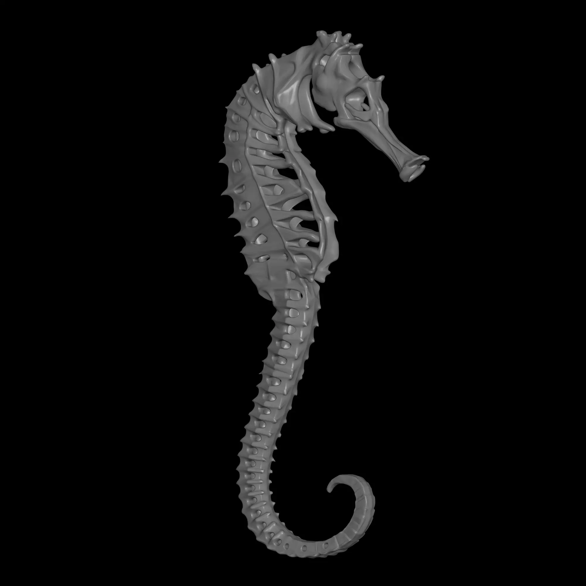skeleton sea horse model 3D print model_2