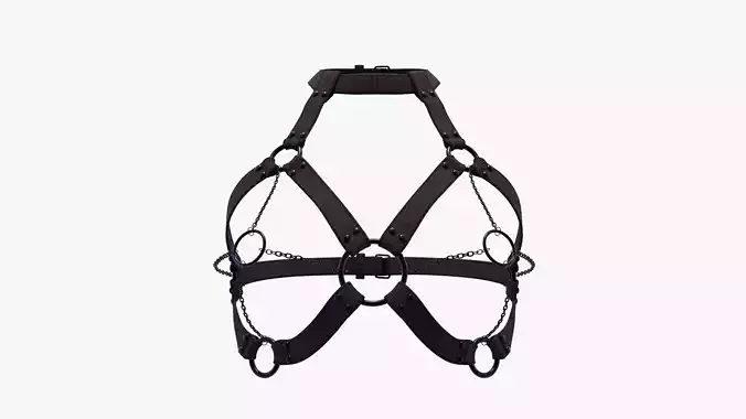 Punk Harness 15