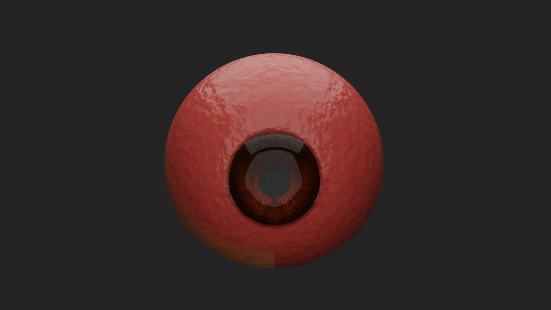 Cataract Eye Anatomy  3D model_3