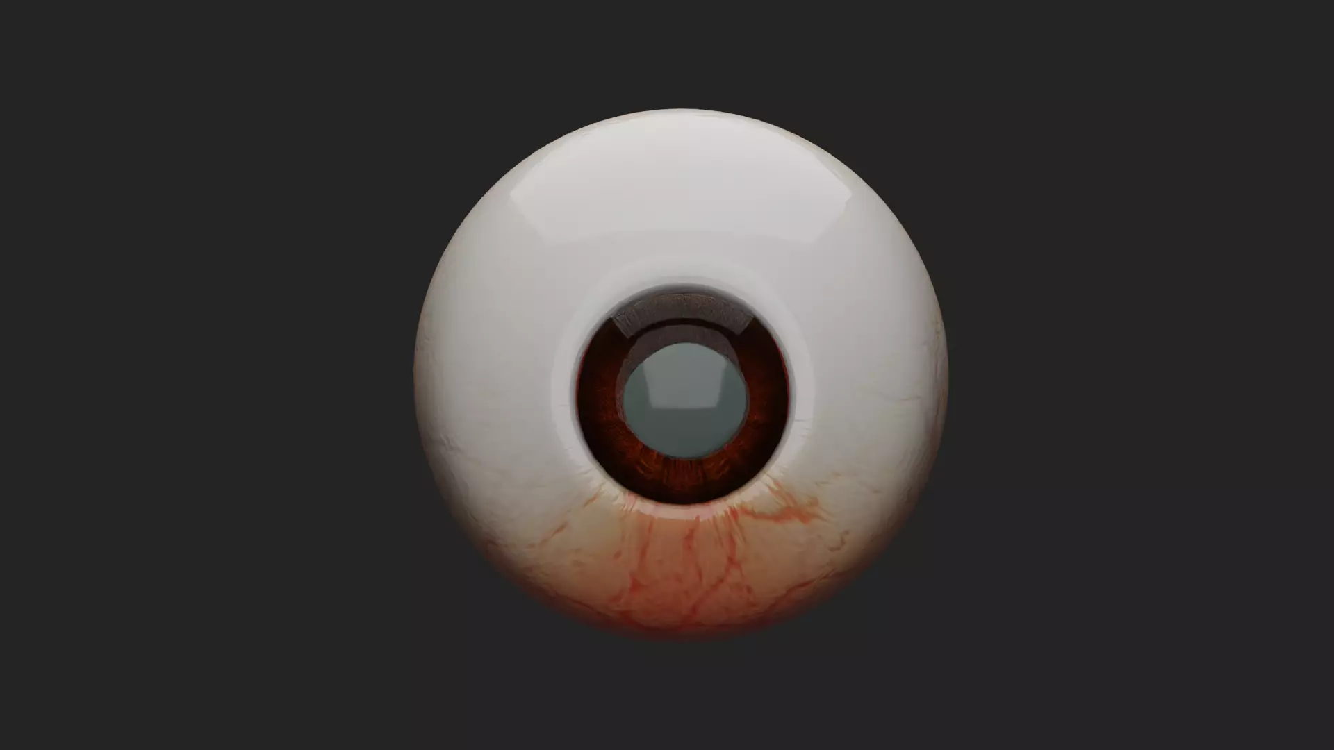 Cataract Eye Anatomy  3D model_2