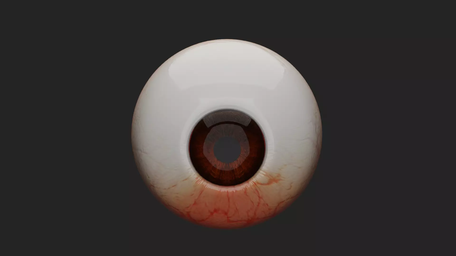 Cataract Eye Anatomy  3D model_1