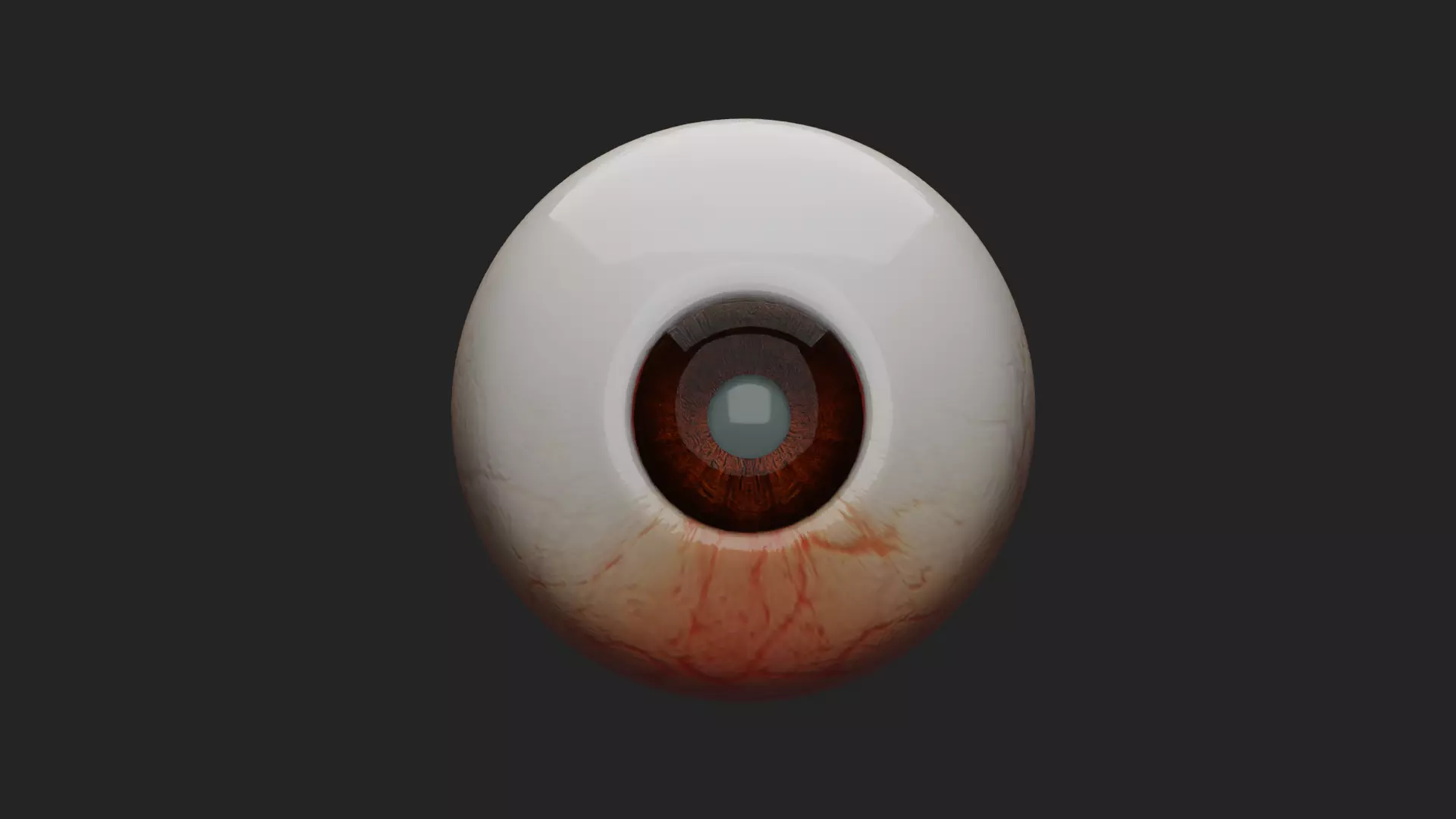 Cataract Eye Anatomy  3D model_0