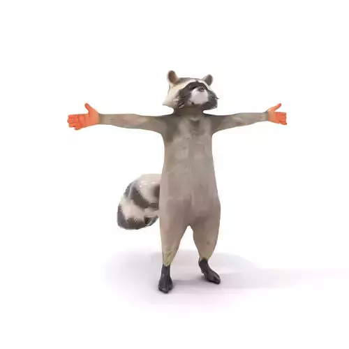 Lifelike Raccoon model pack Low-poly 3D model Lifelike Raccoon model pack Low-poly 3D model