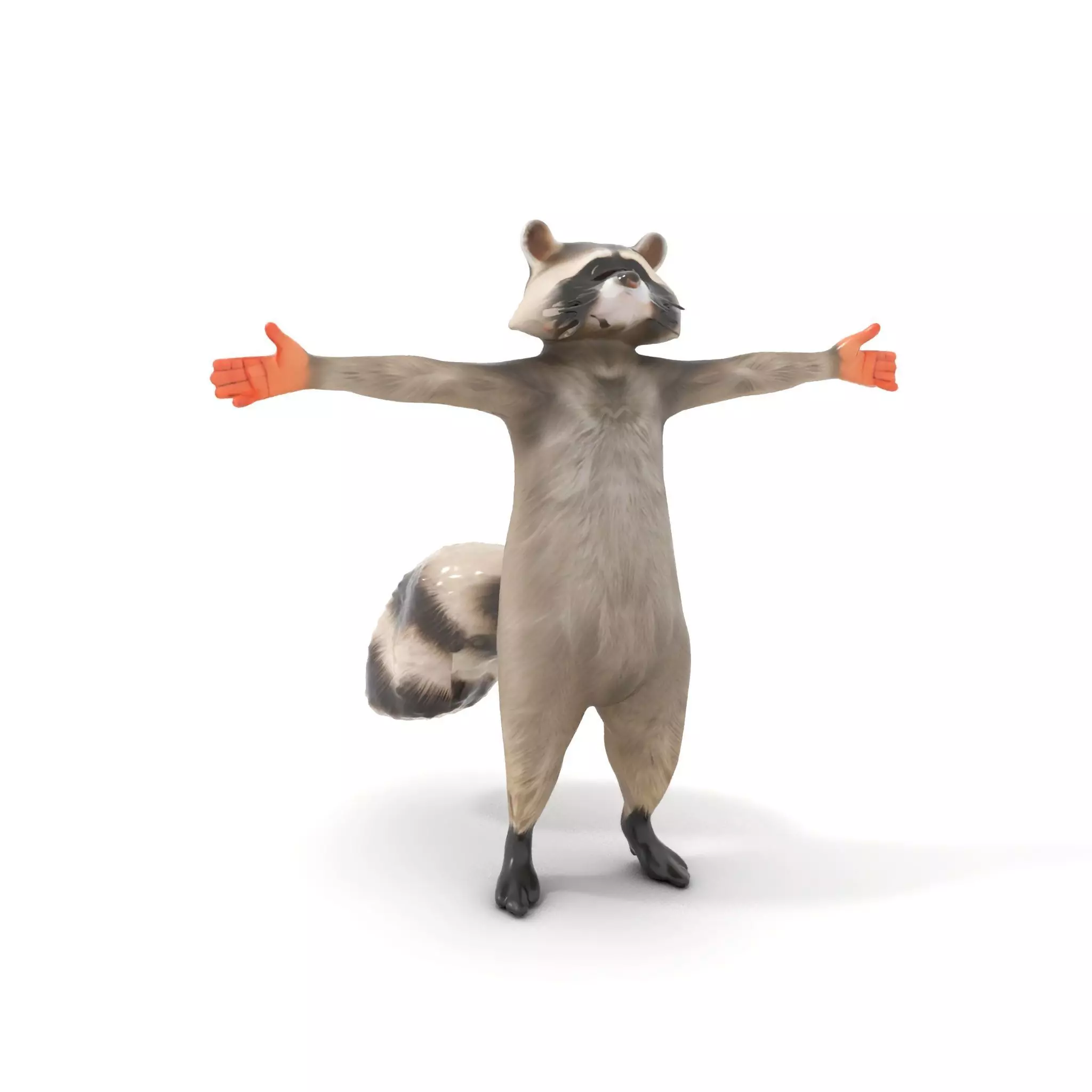 Lifelike Raccoon model pack Low-poly 3D model_0