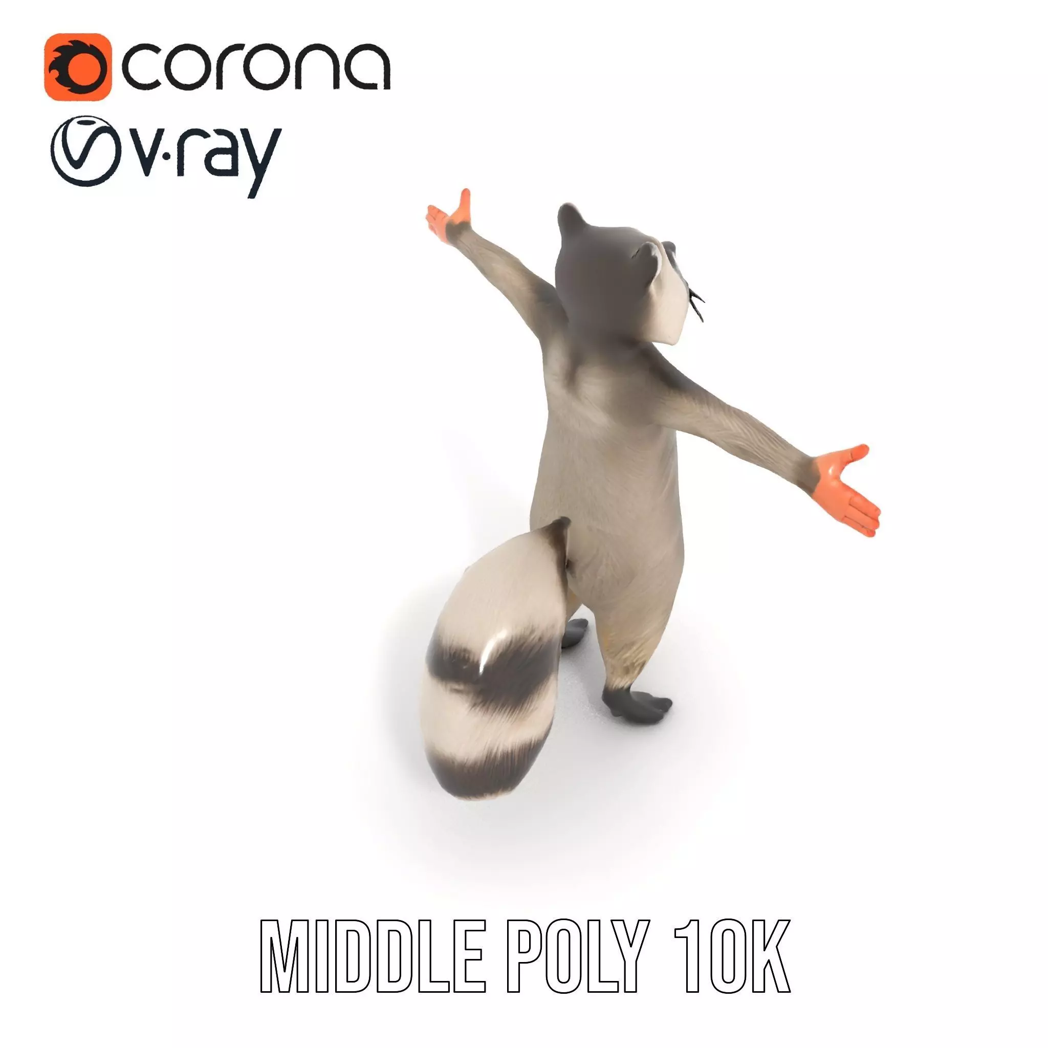 Lifelike Raccoon model pack Low-poly 3D model_12