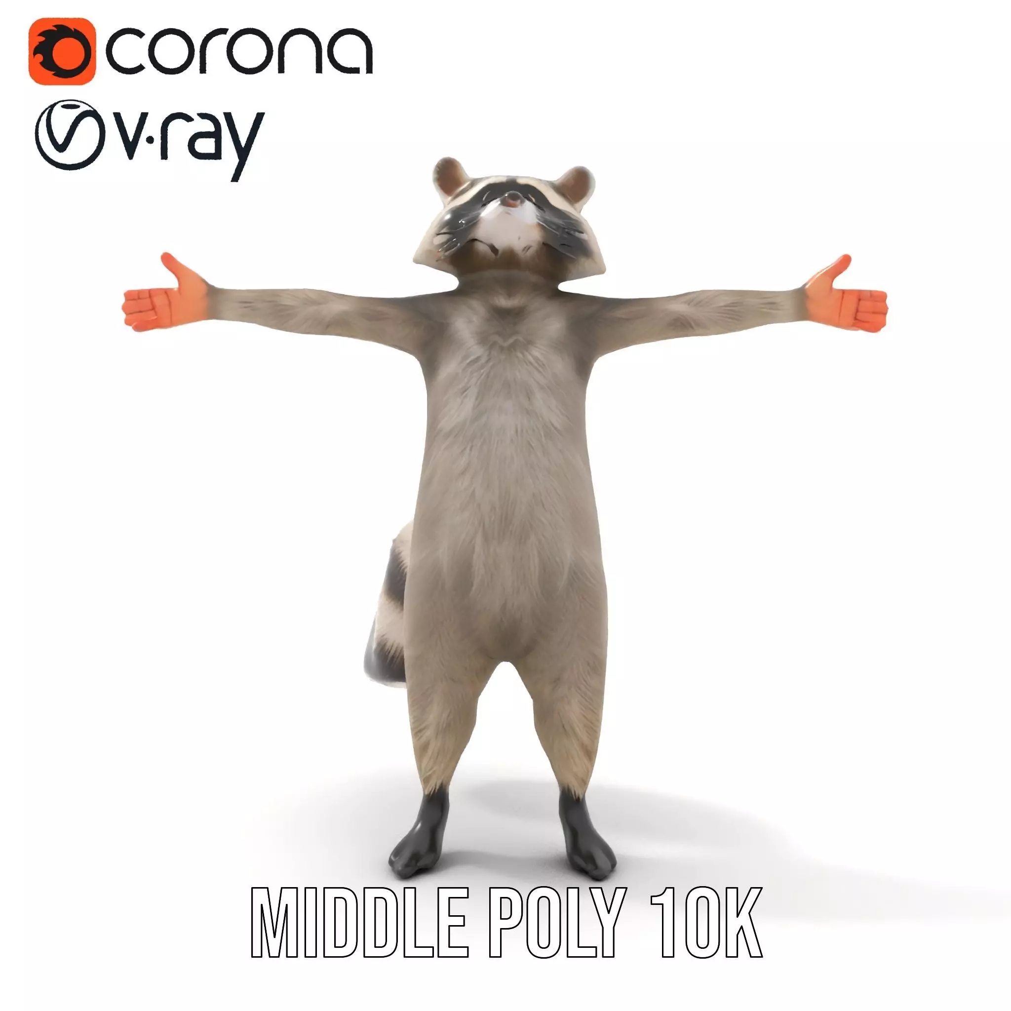 Lifelike Raccoon model pack Low-poly 3D model_22