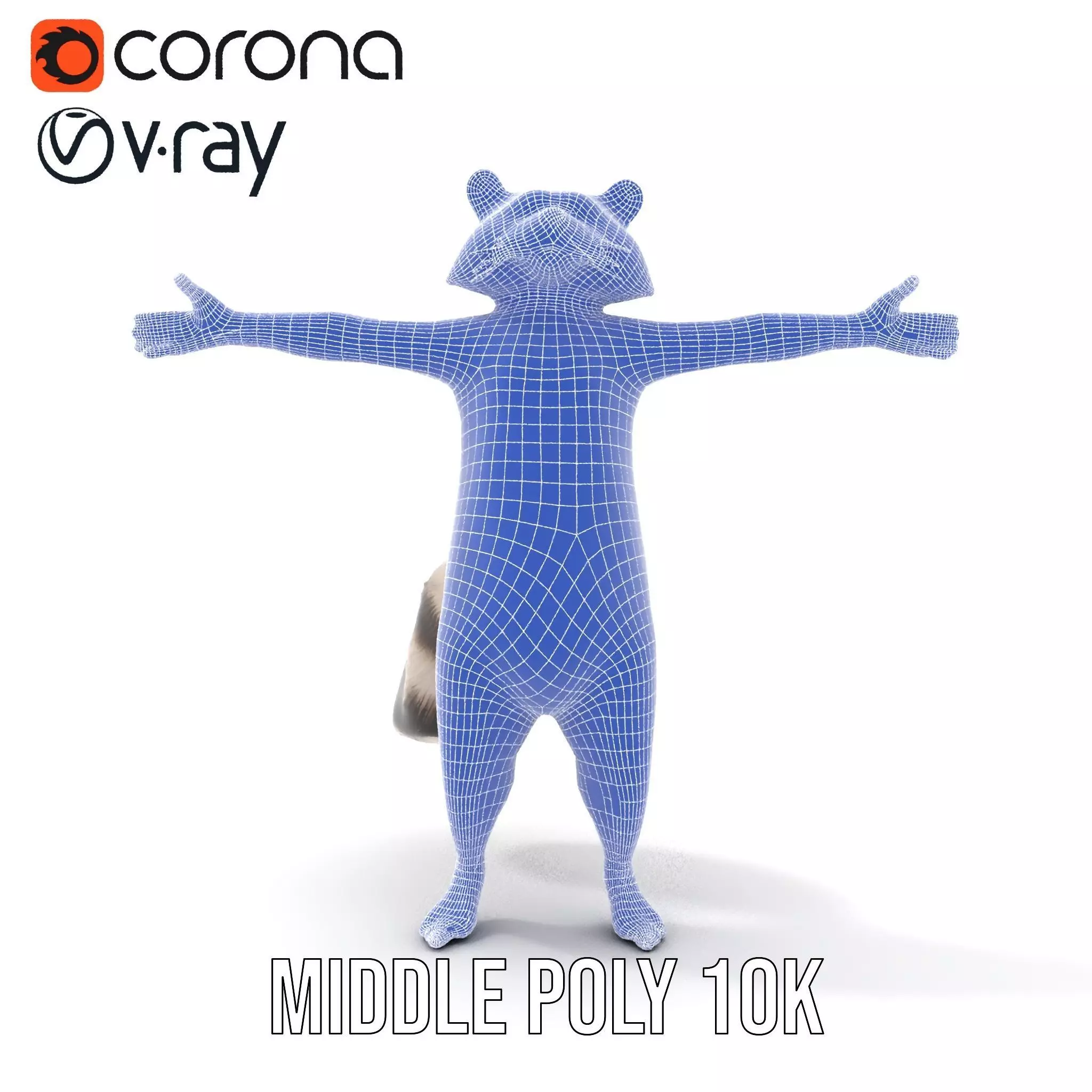 Lifelike Raccoon model pack Low-poly 3D model_28