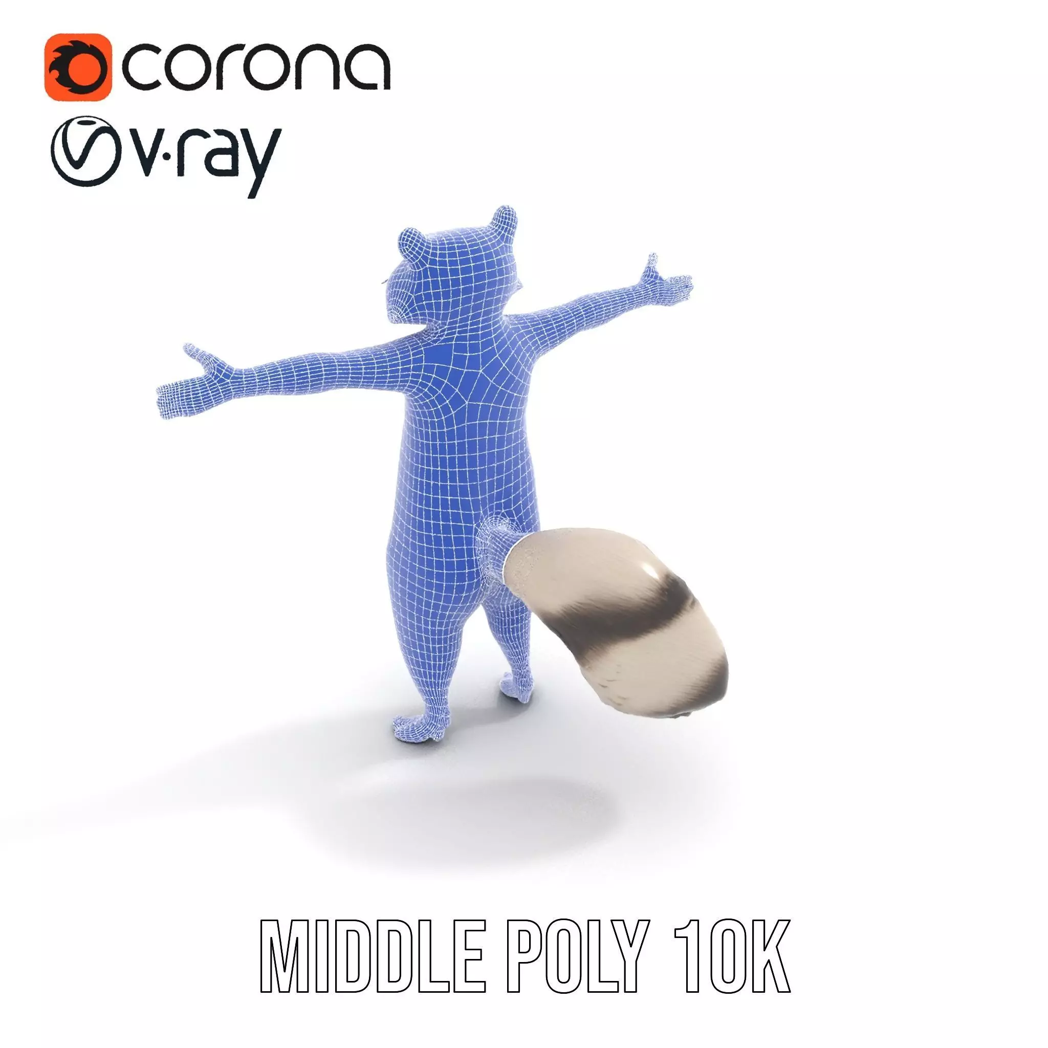 Lifelike Raccoon model pack Low-poly 3D model_25