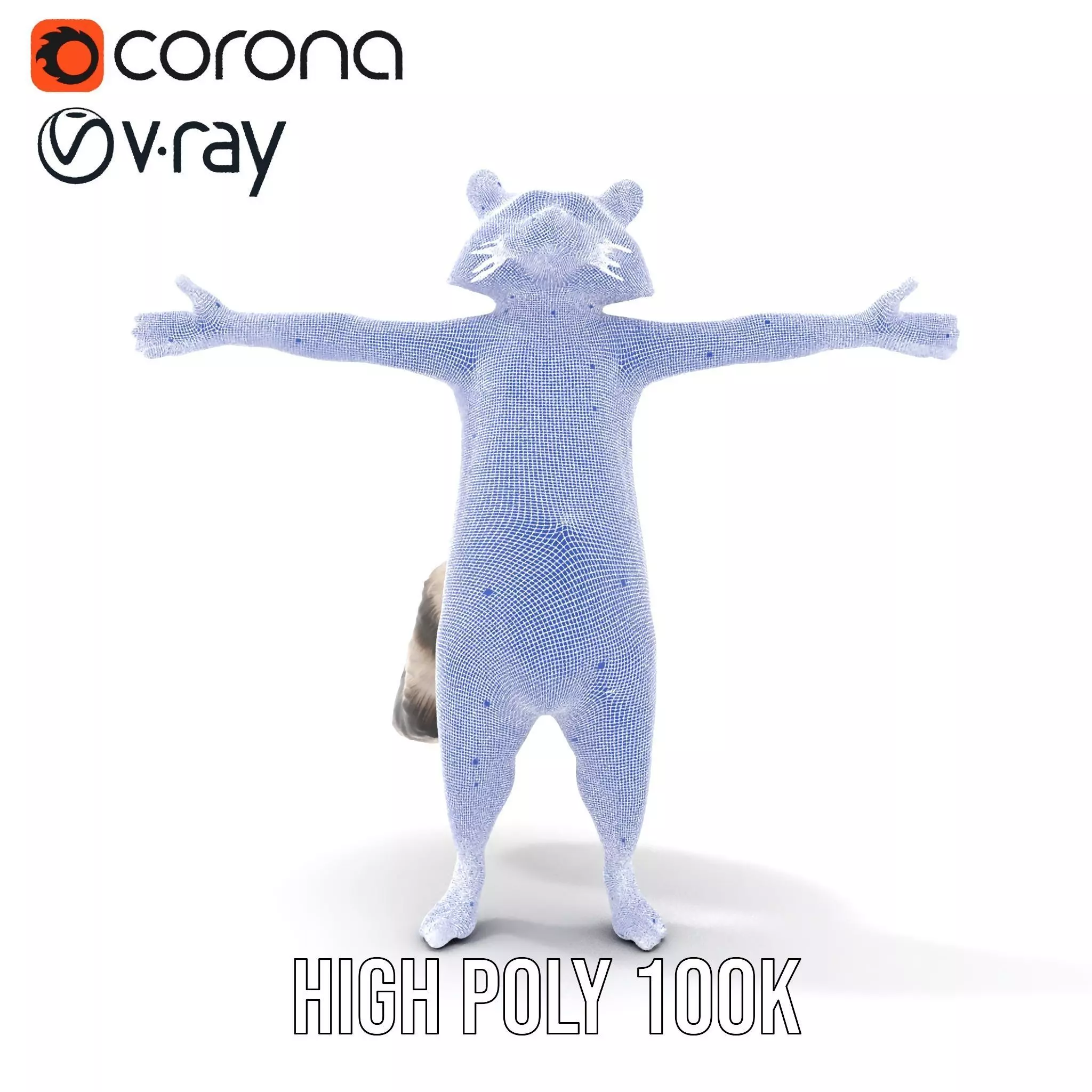 Lifelike Raccoon model pack Low-poly 3D model_30