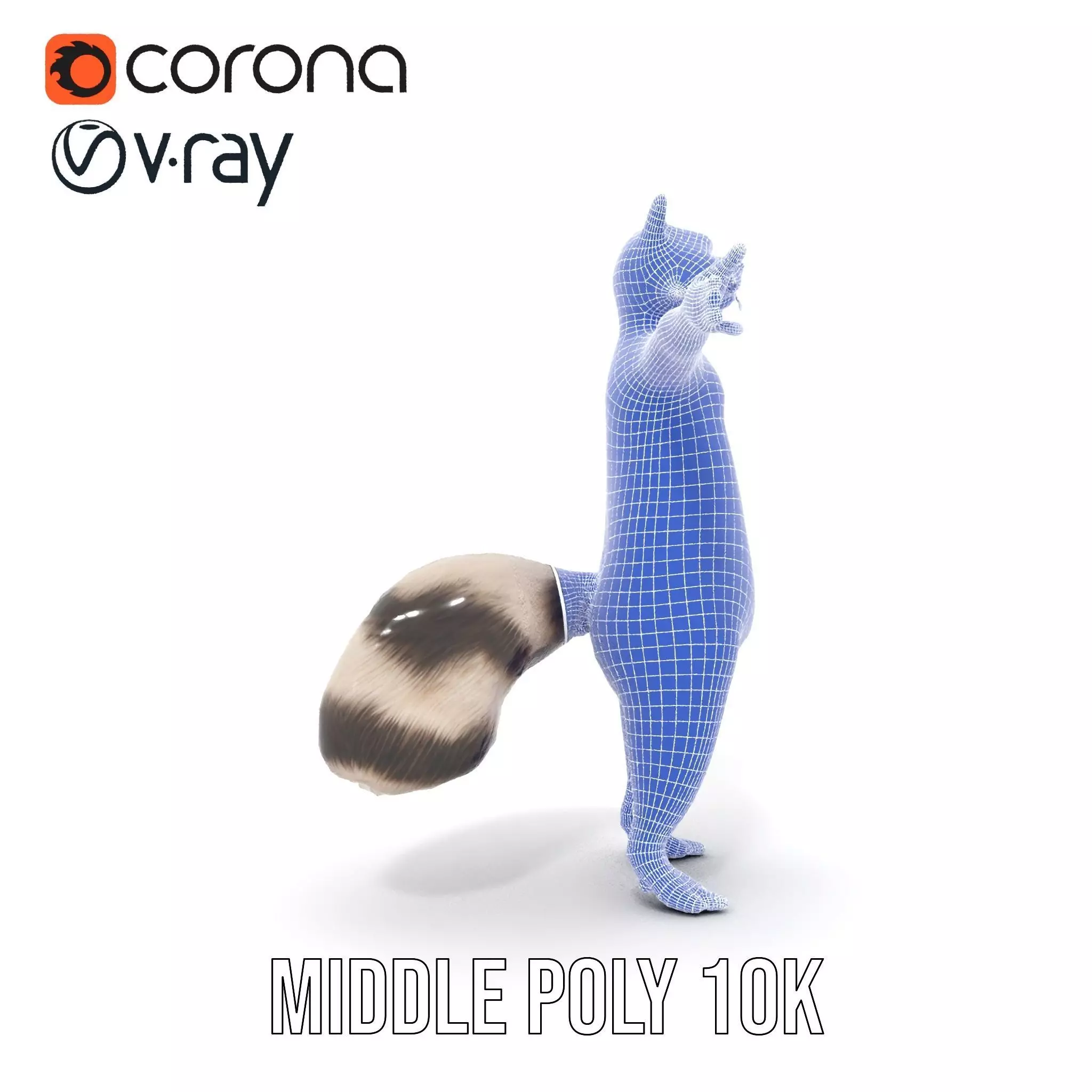 Lifelike Raccoon model pack Low-poly 3D model_31