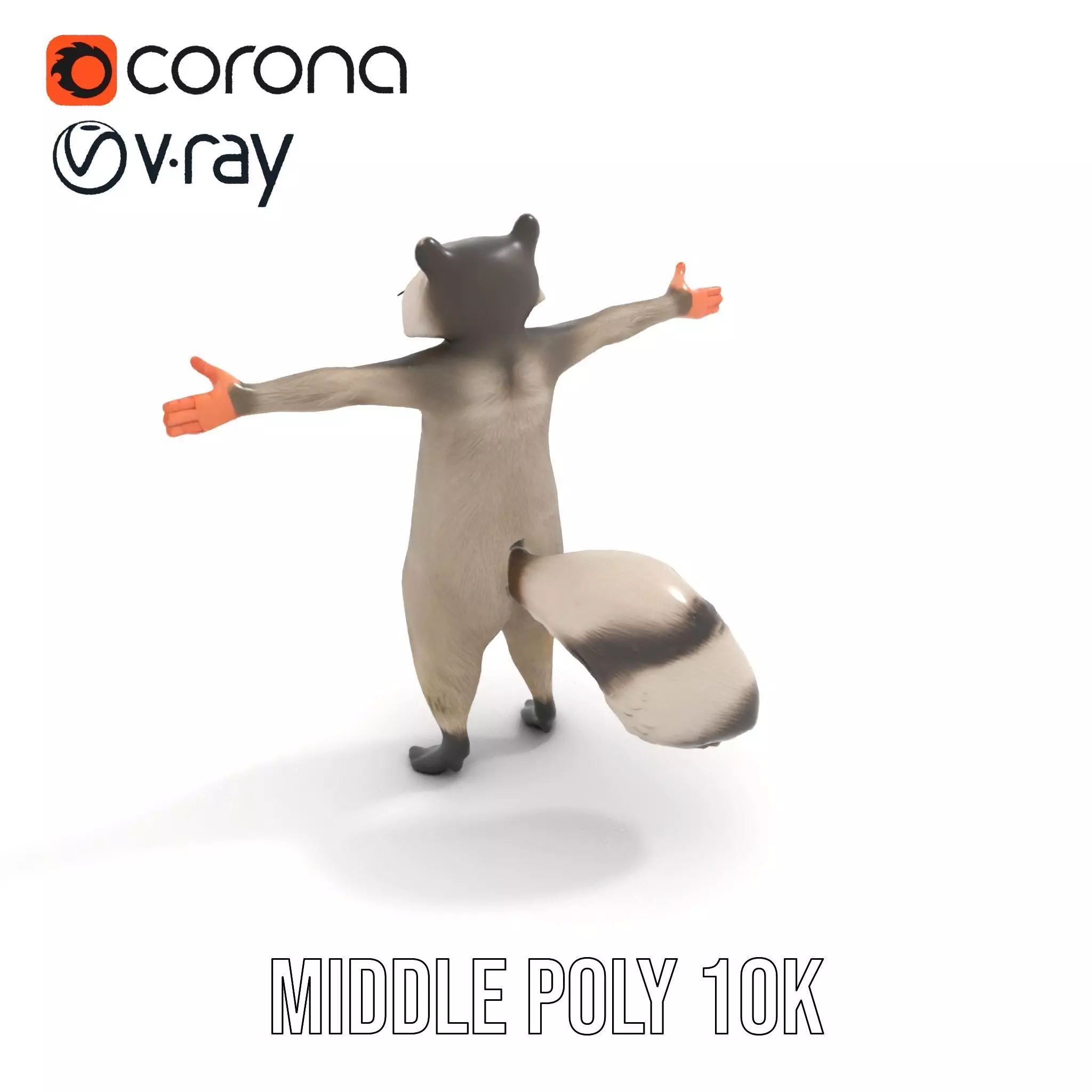 Lifelike Raccoon model pack Low-poly 3D model_6