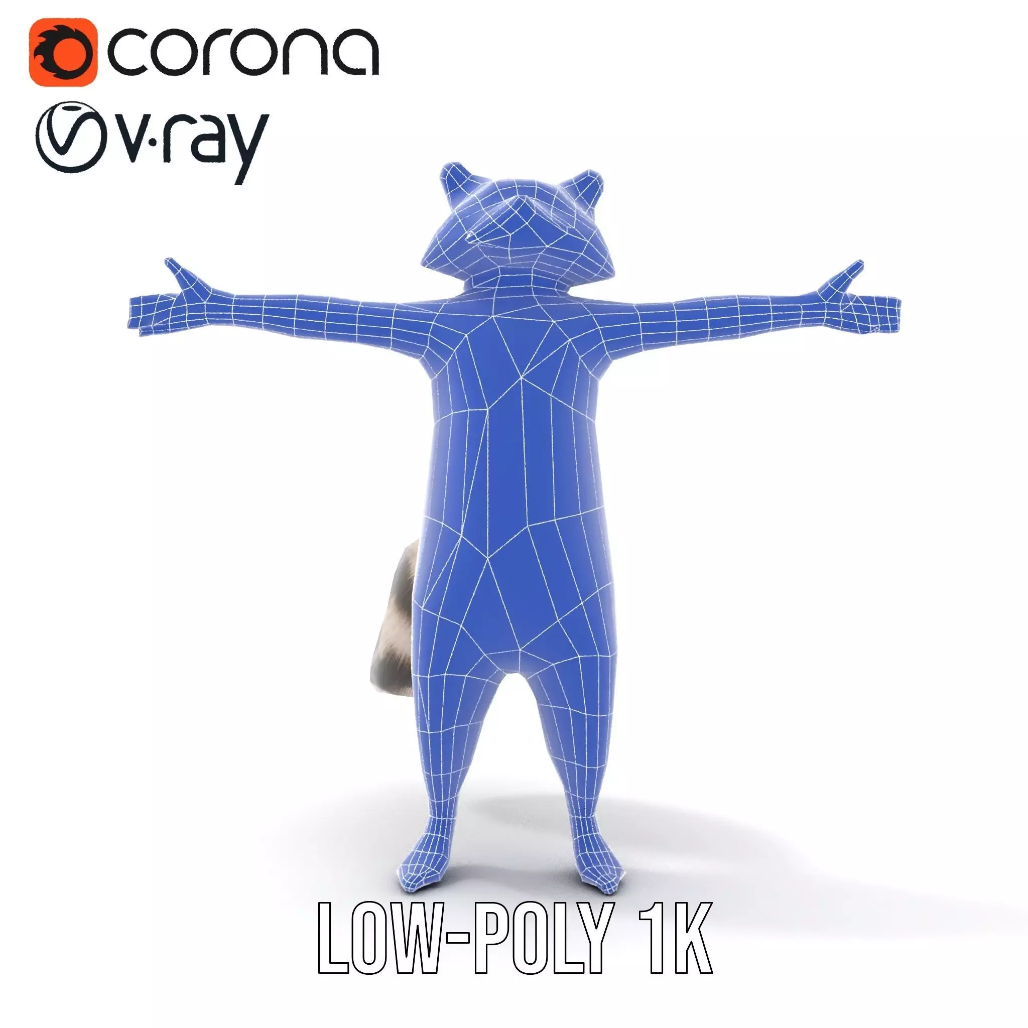 Lifelike Raccoon model pack Low-poly 3D model_23