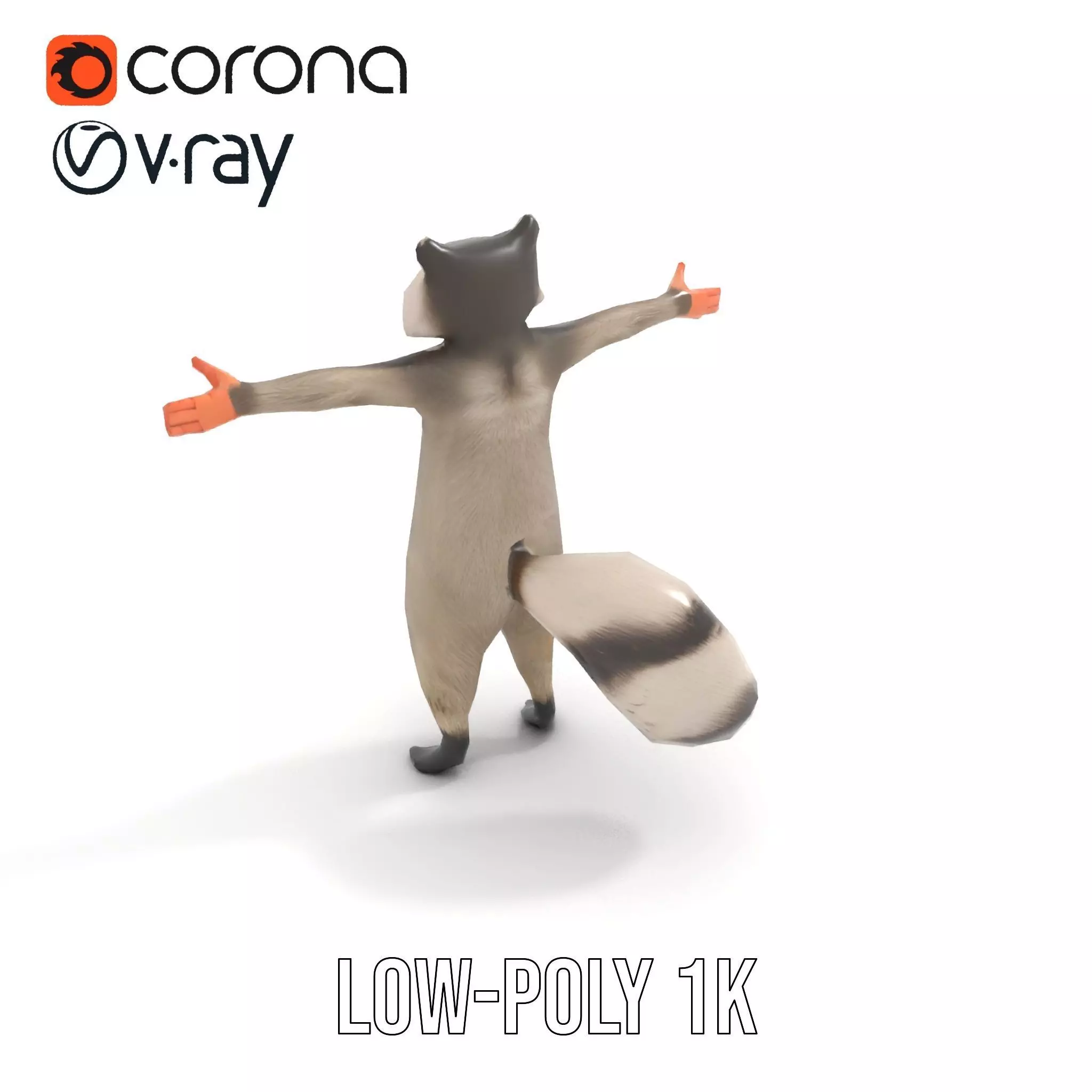 Lifelike Raccoon model pack Low-poly 3D model_13