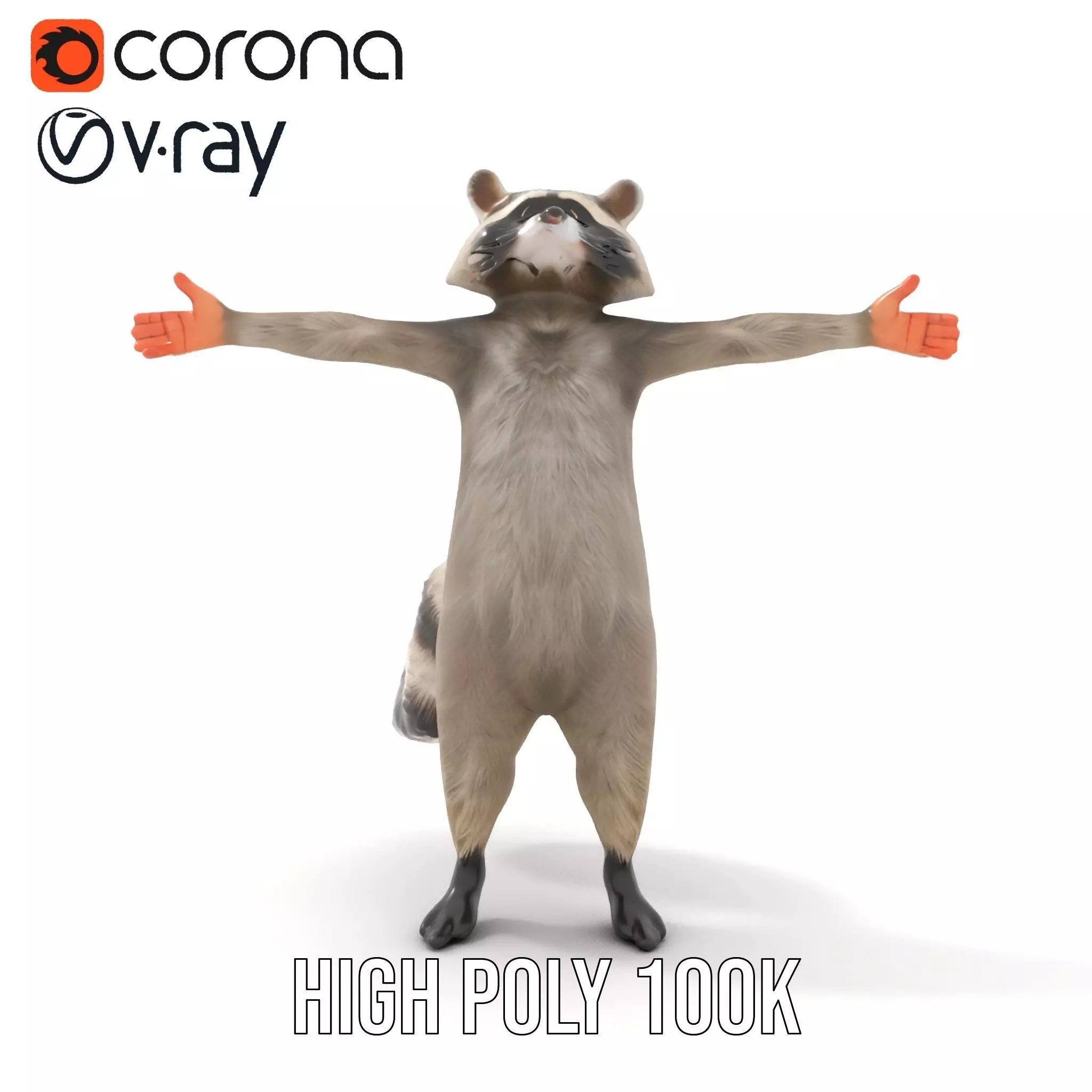 Lifelike Raccoon model pack Low-poly 3D model_19