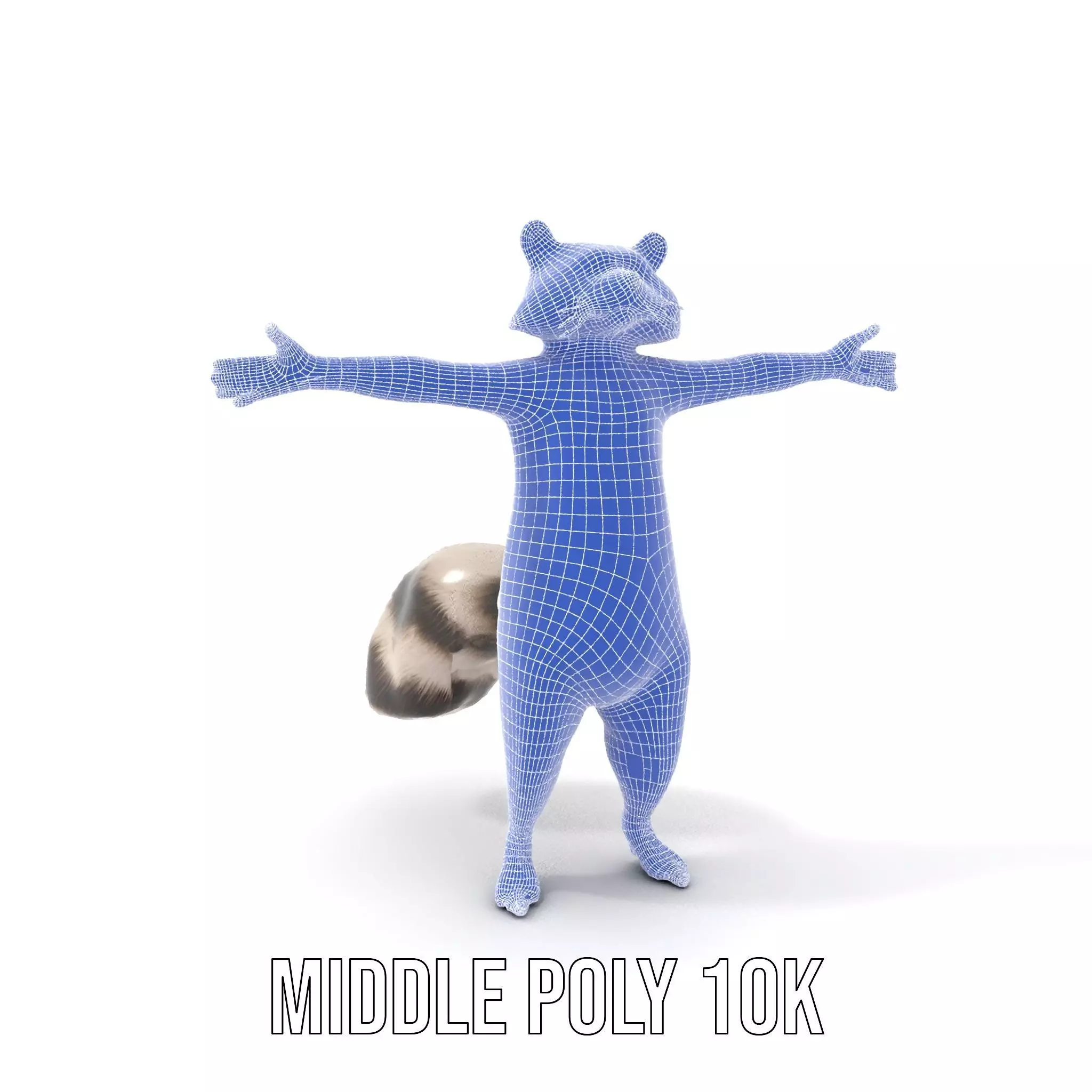 Lifelike Raccoon model pack Low-poly 3D model_20