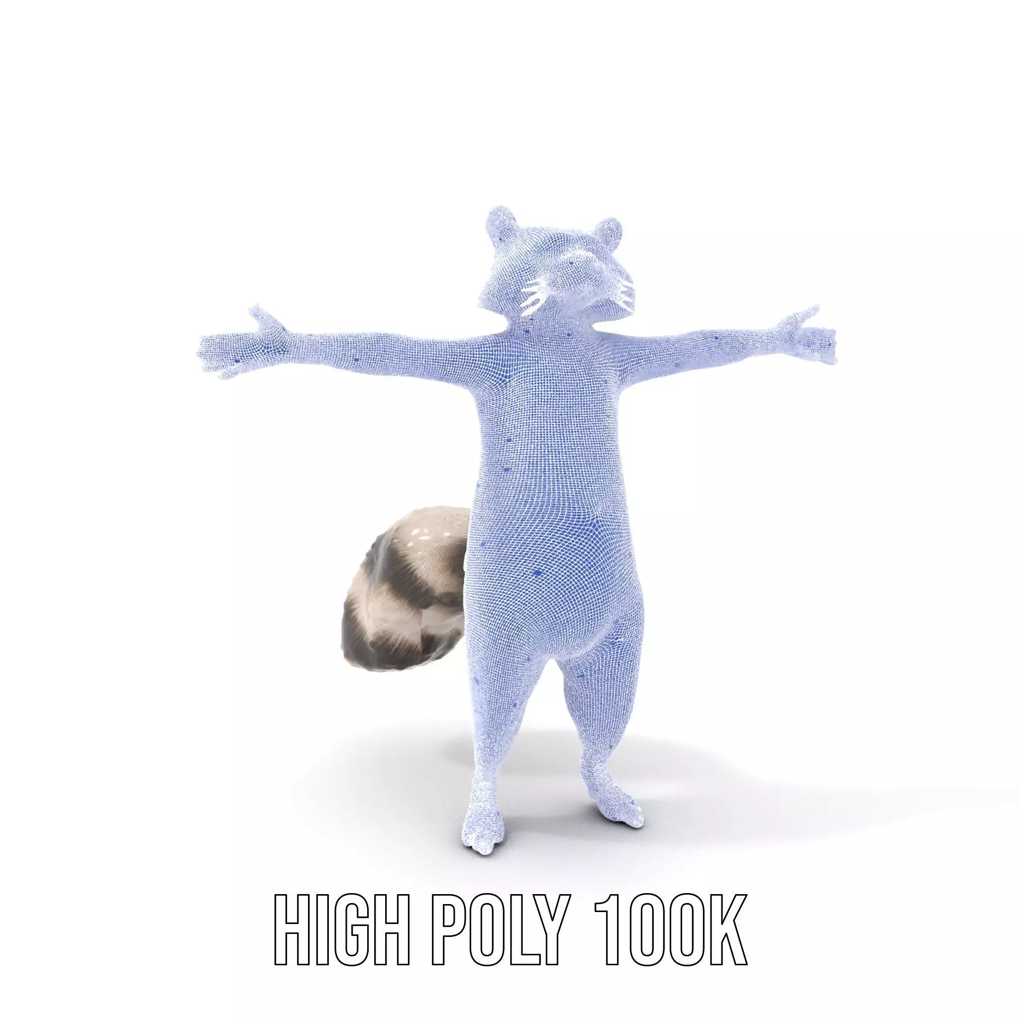 Lifelike Raccoon model pack Low-poly 3D model_5