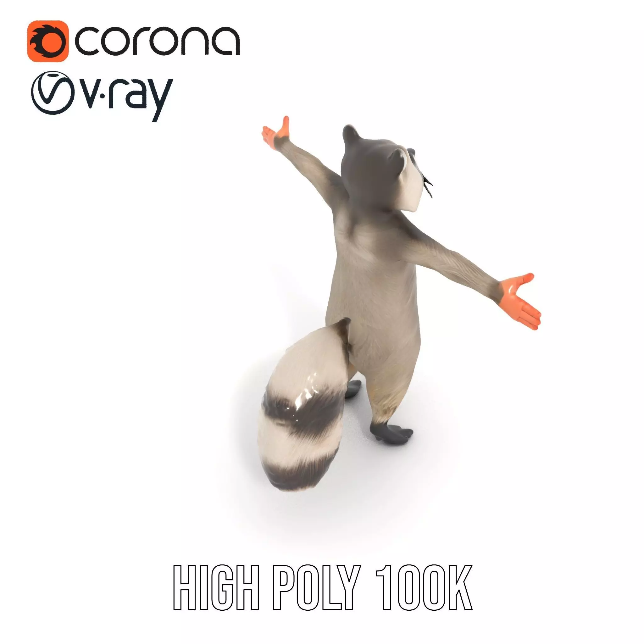 Lifelike Raccoon model pack Low-poly 3D model_16