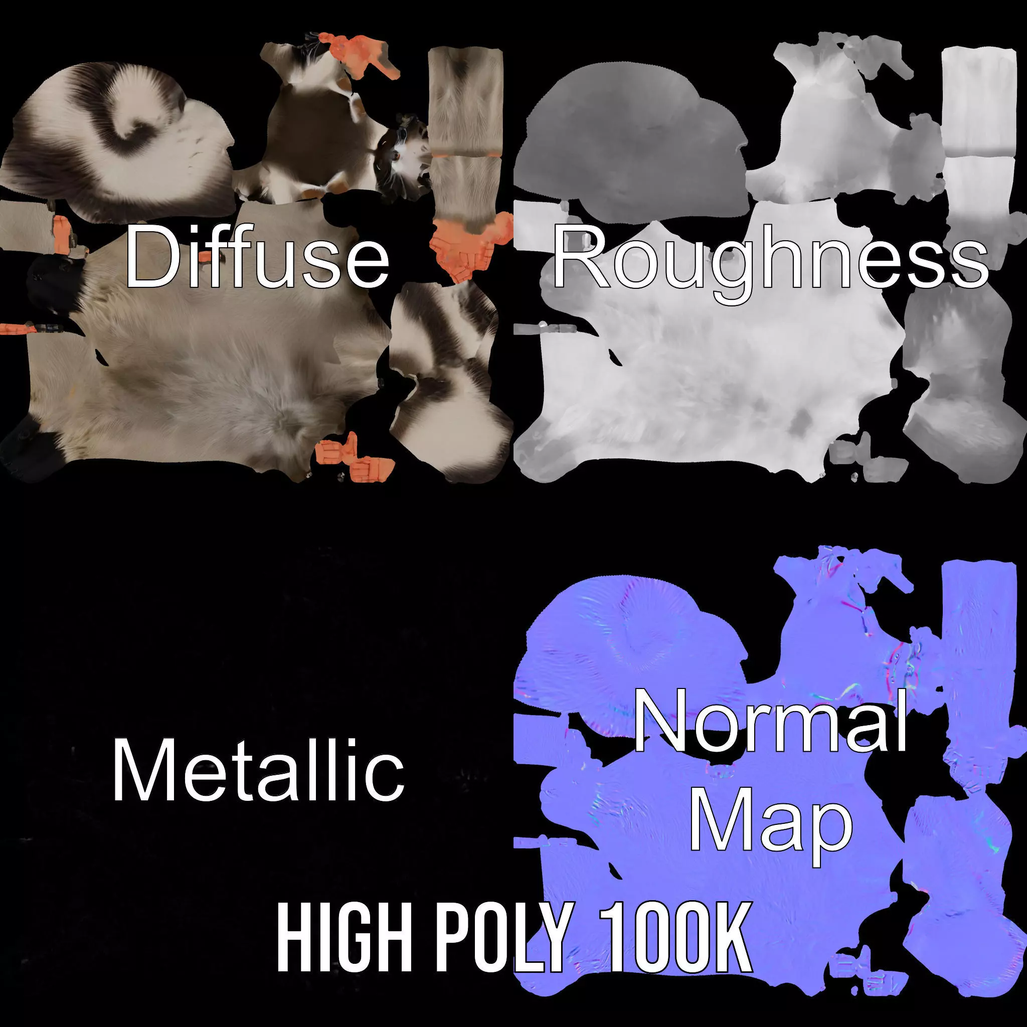 Lifelike Raccoon model pack Low-poly 3D model_4