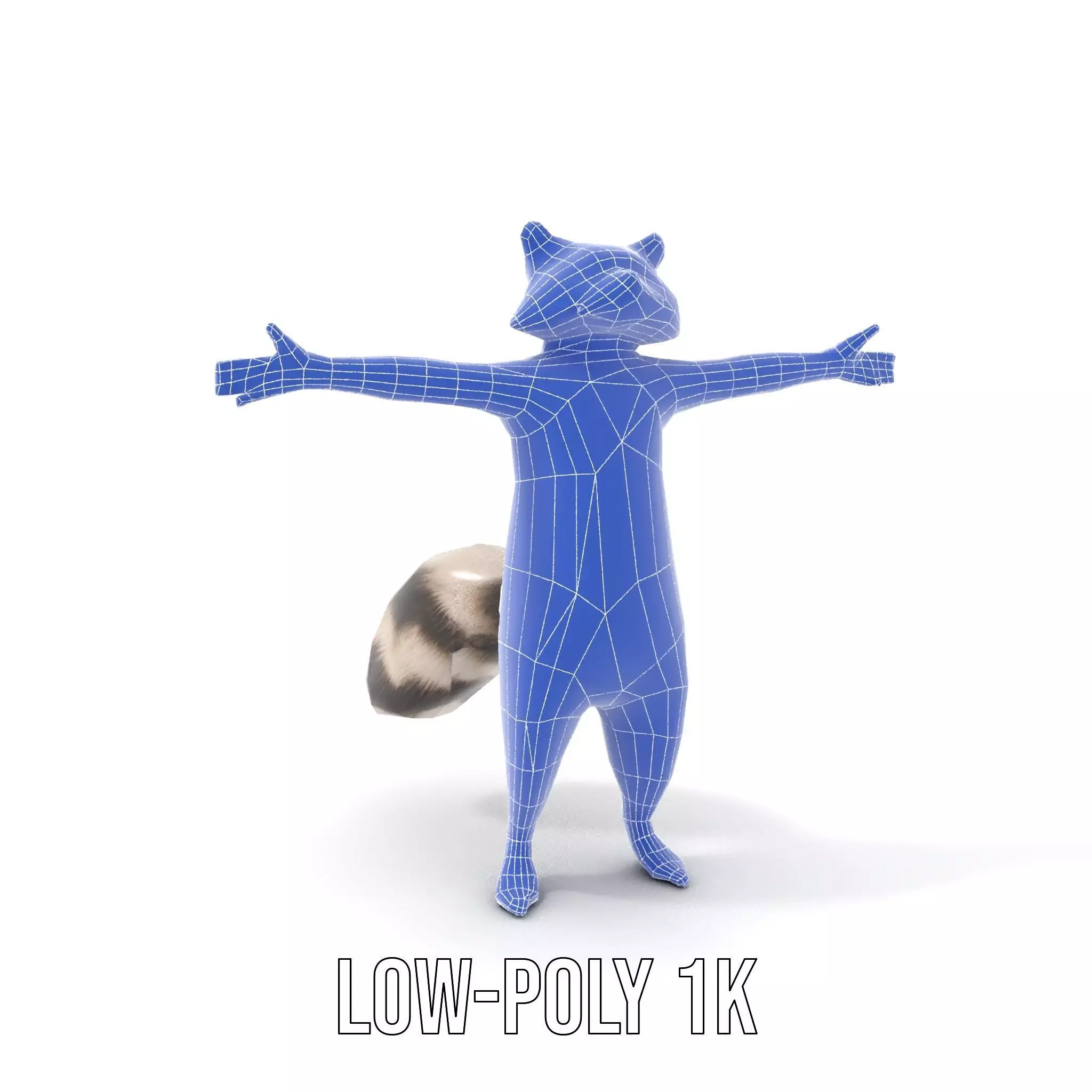 Lifelike Raccoon model pack Low-poly 3D model_29