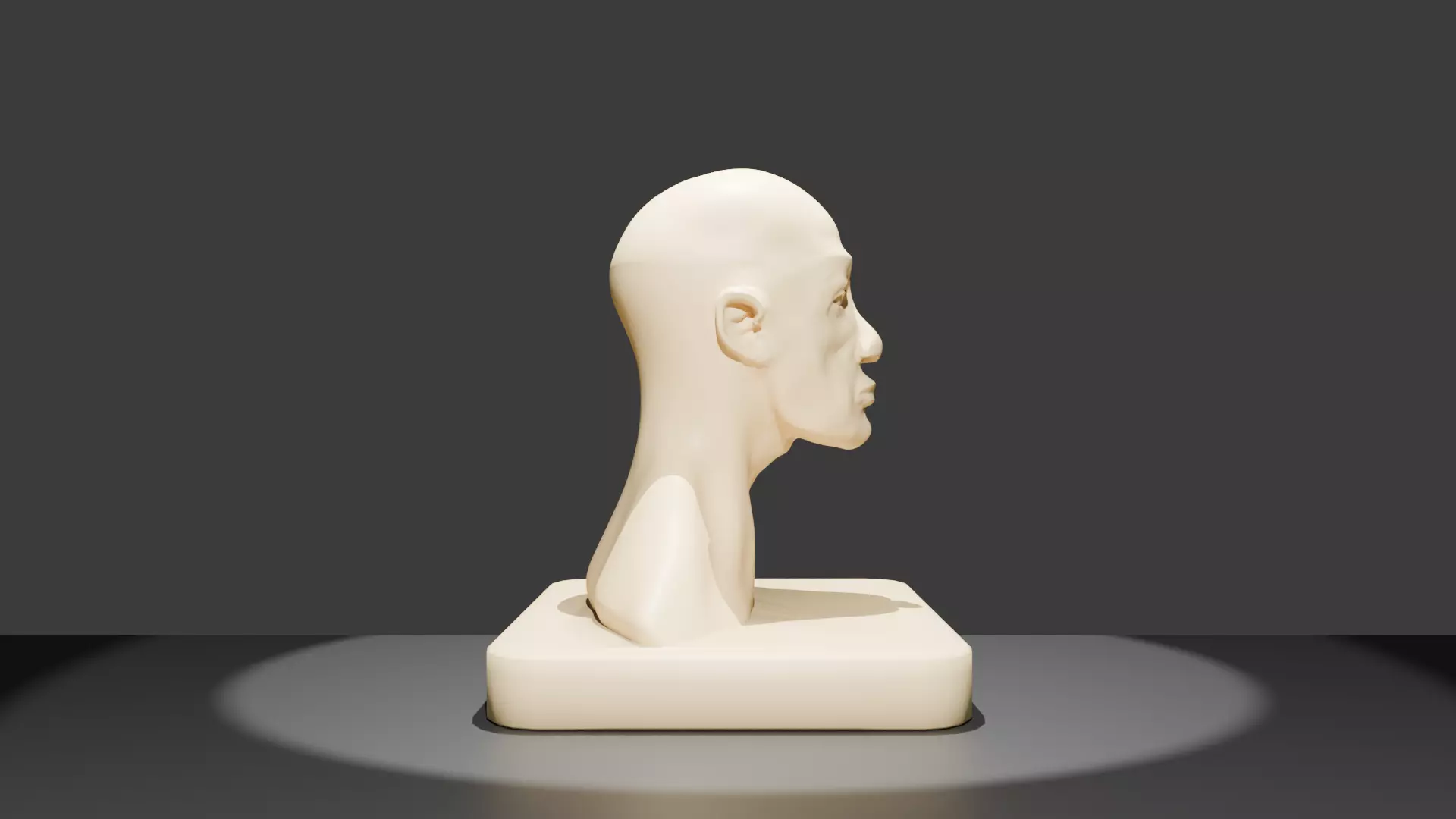 Artistic Human Head Bust 3D print model_3
