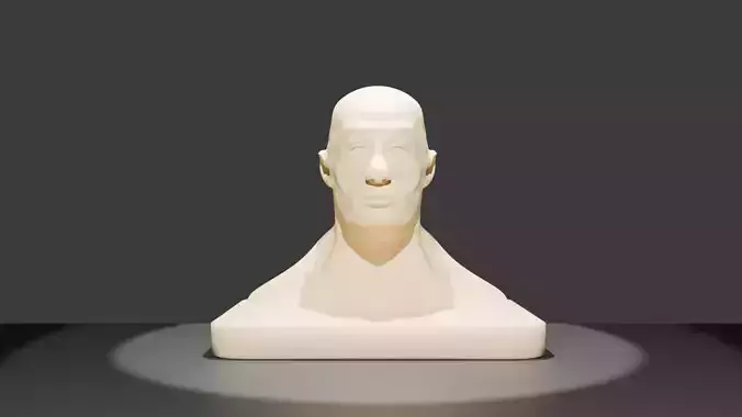 Artistic Human Head Bust 
