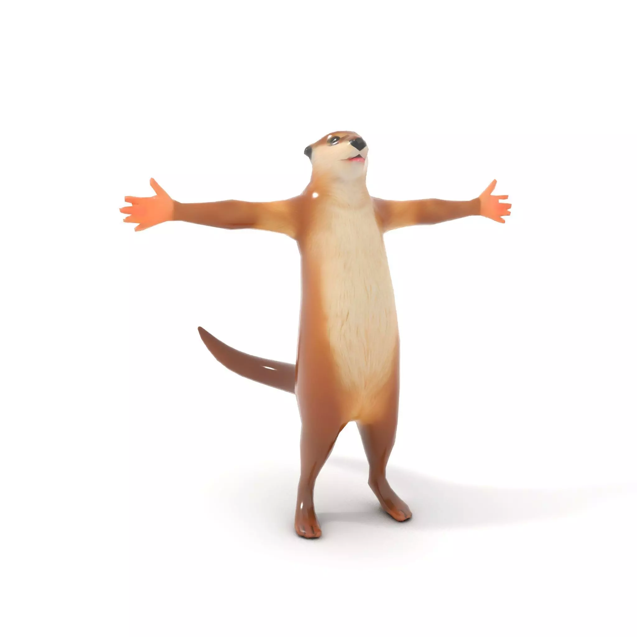 Charming Otter Character model pack Low-poly 3D model_10