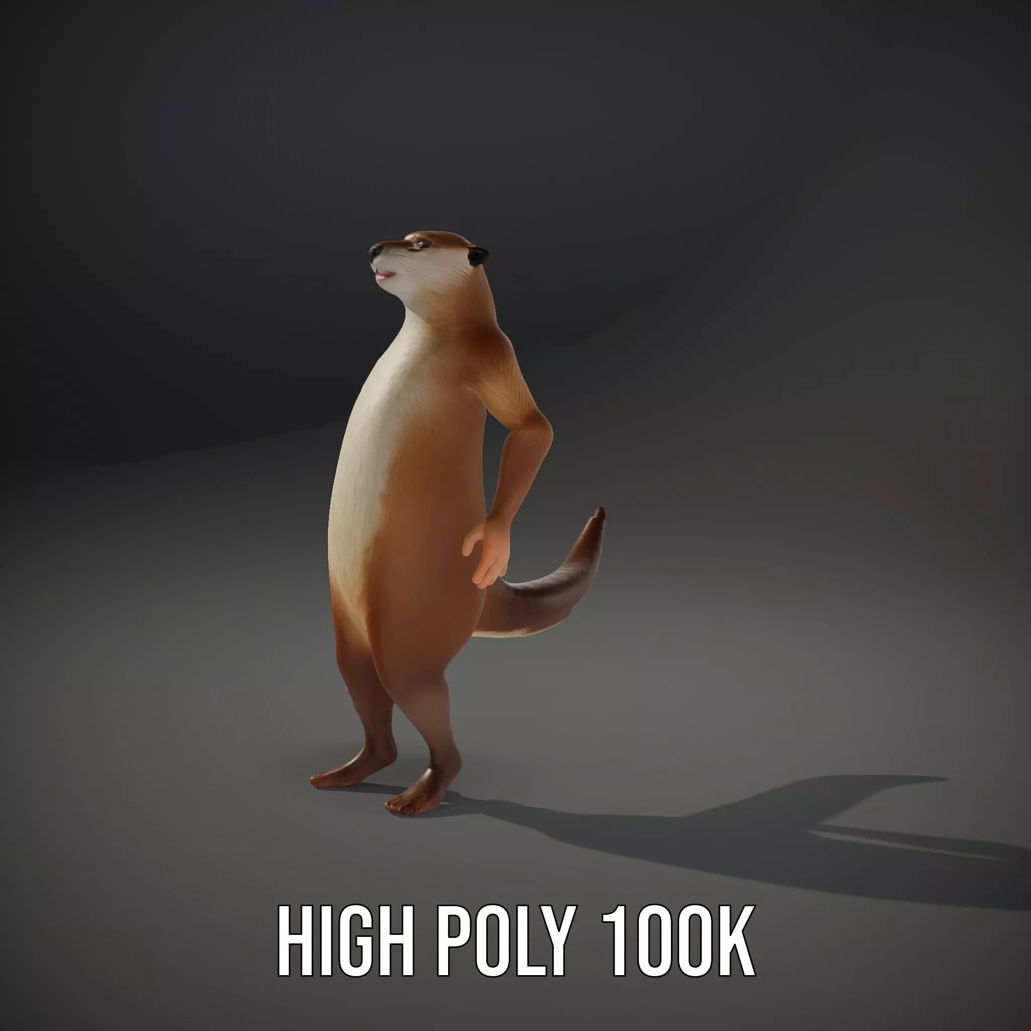 Charming Otter Character model pack Low-poly 3D model_9