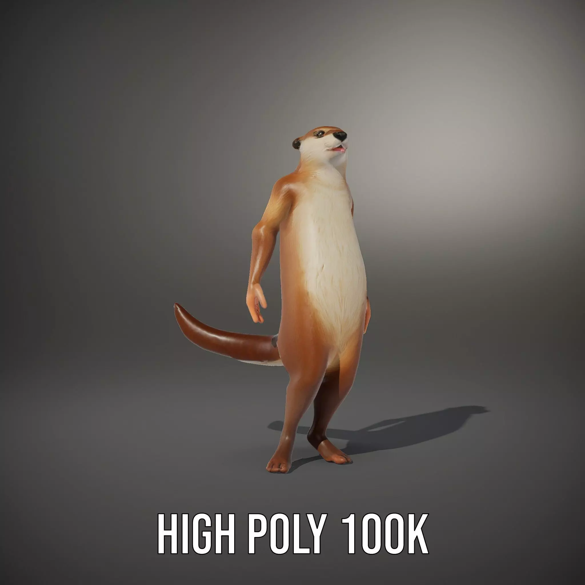 Charming Otter Character model pack Low-poly 3D model_11