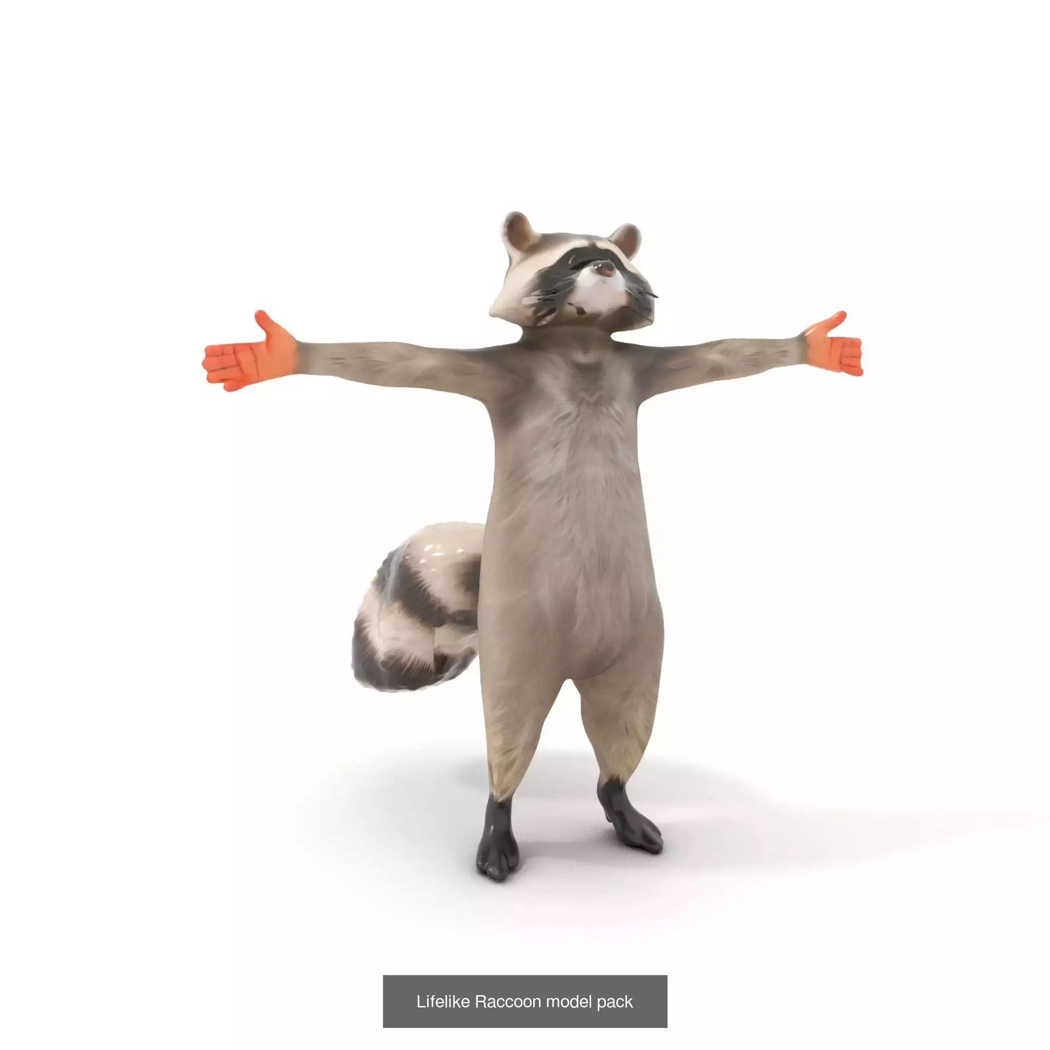 Whimsical Wildlife 3D Models Pack 3D Model Collection_23