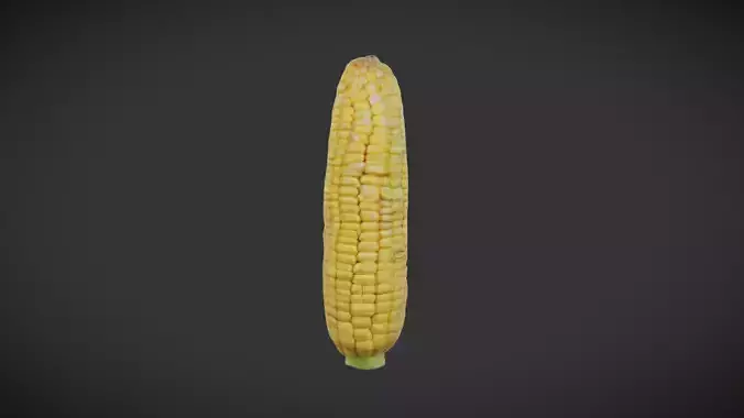 Corn Cob Low-poly 3D model