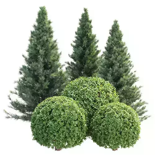 Plants for Garden Vol 308