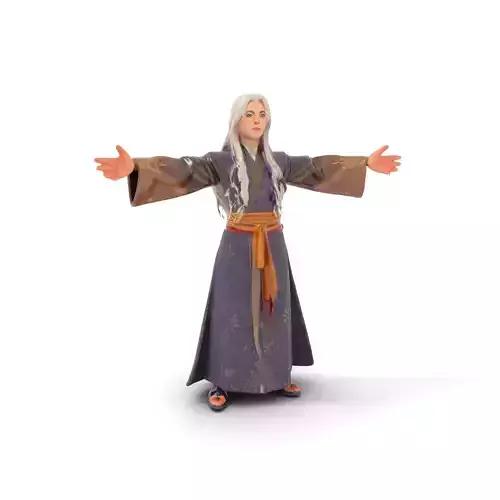 Elegant Wizard Robe model pack Low-poly 3D model
