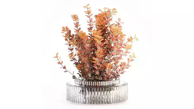 Bouquet of autumn flowers barberry branches glass vase 632