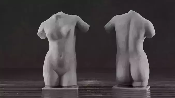 Female Torso Statue