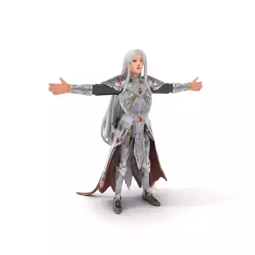 Silver Armored Warrior model pack Low-poly 3D model