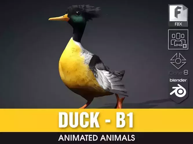 Duck-B1