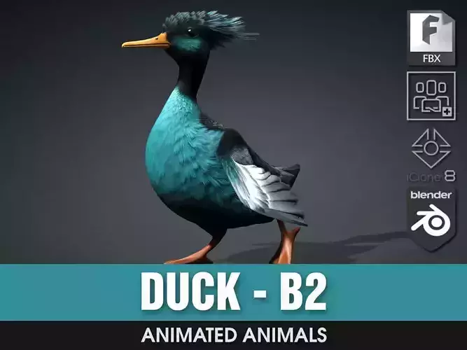 Duck-B2