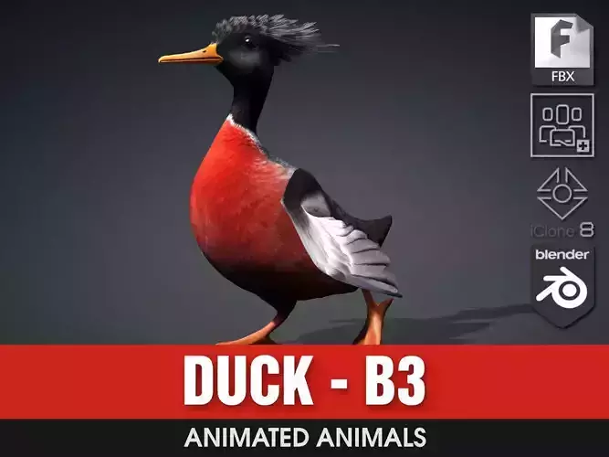 Duck-B3