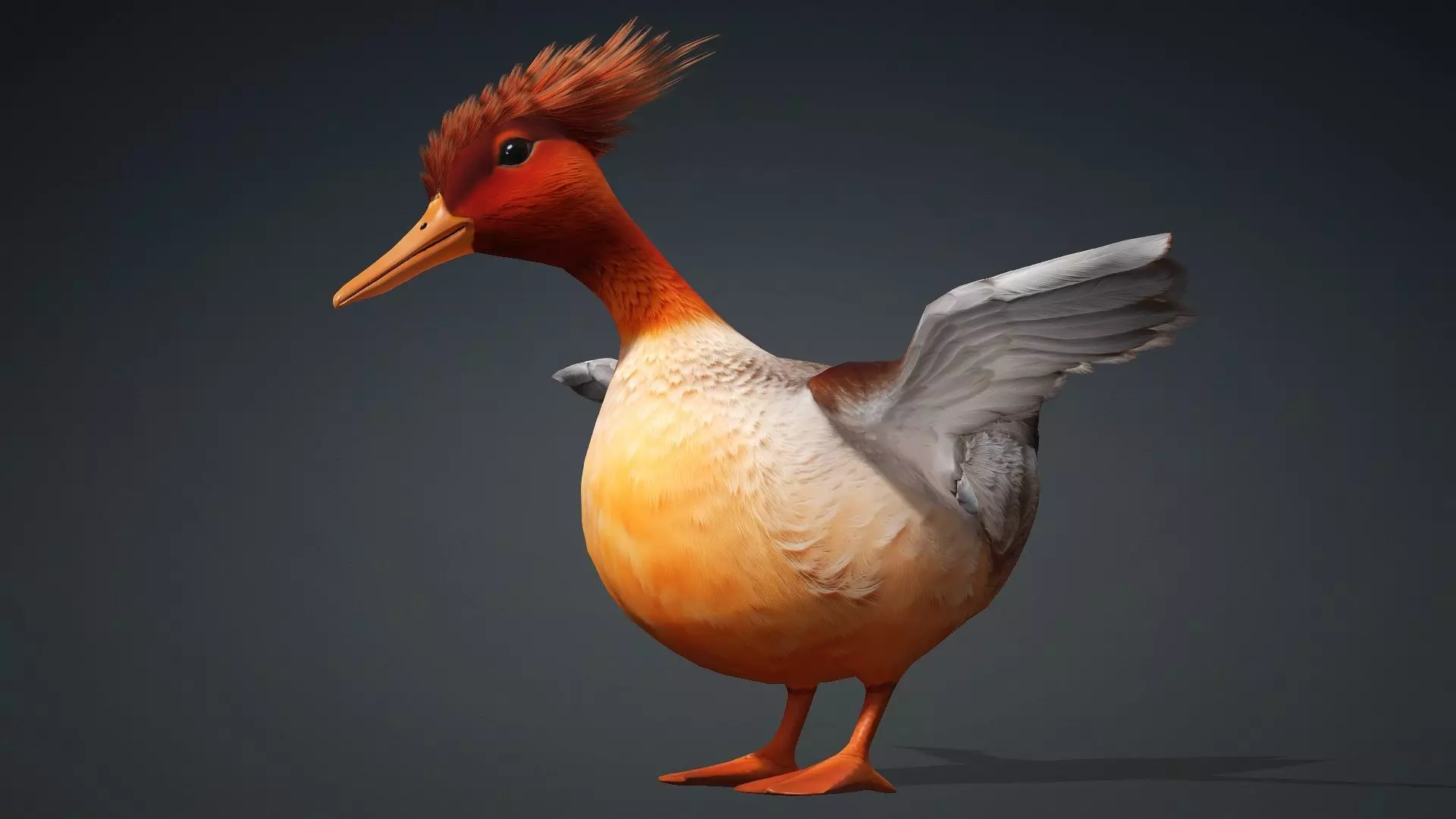 Duck-B4 3D model_10