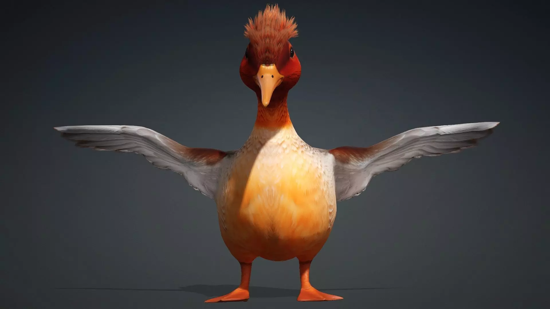 Duck-B4 3D model_3