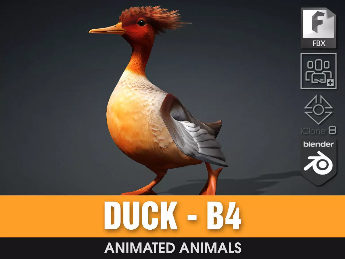 Duck-B4 3D model_0