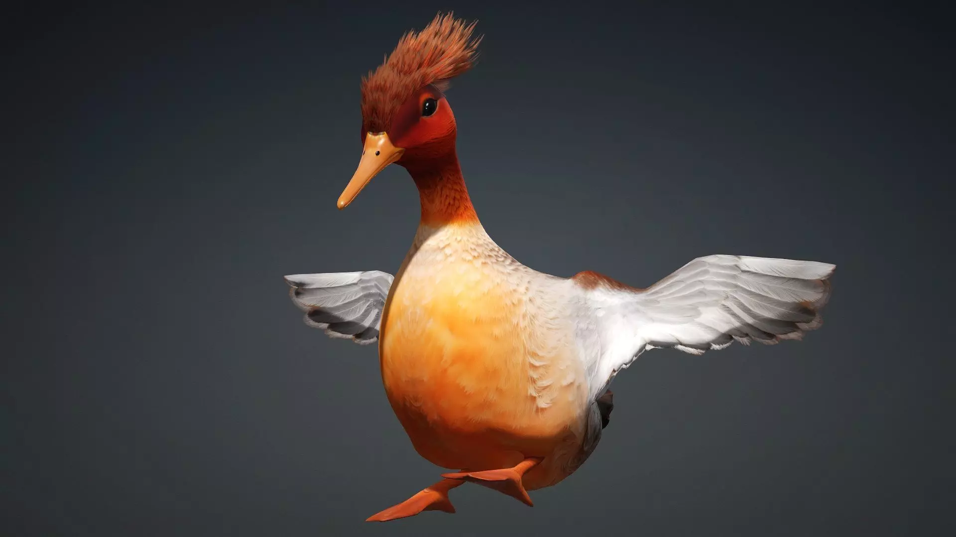 Duck-B4 3D model_6