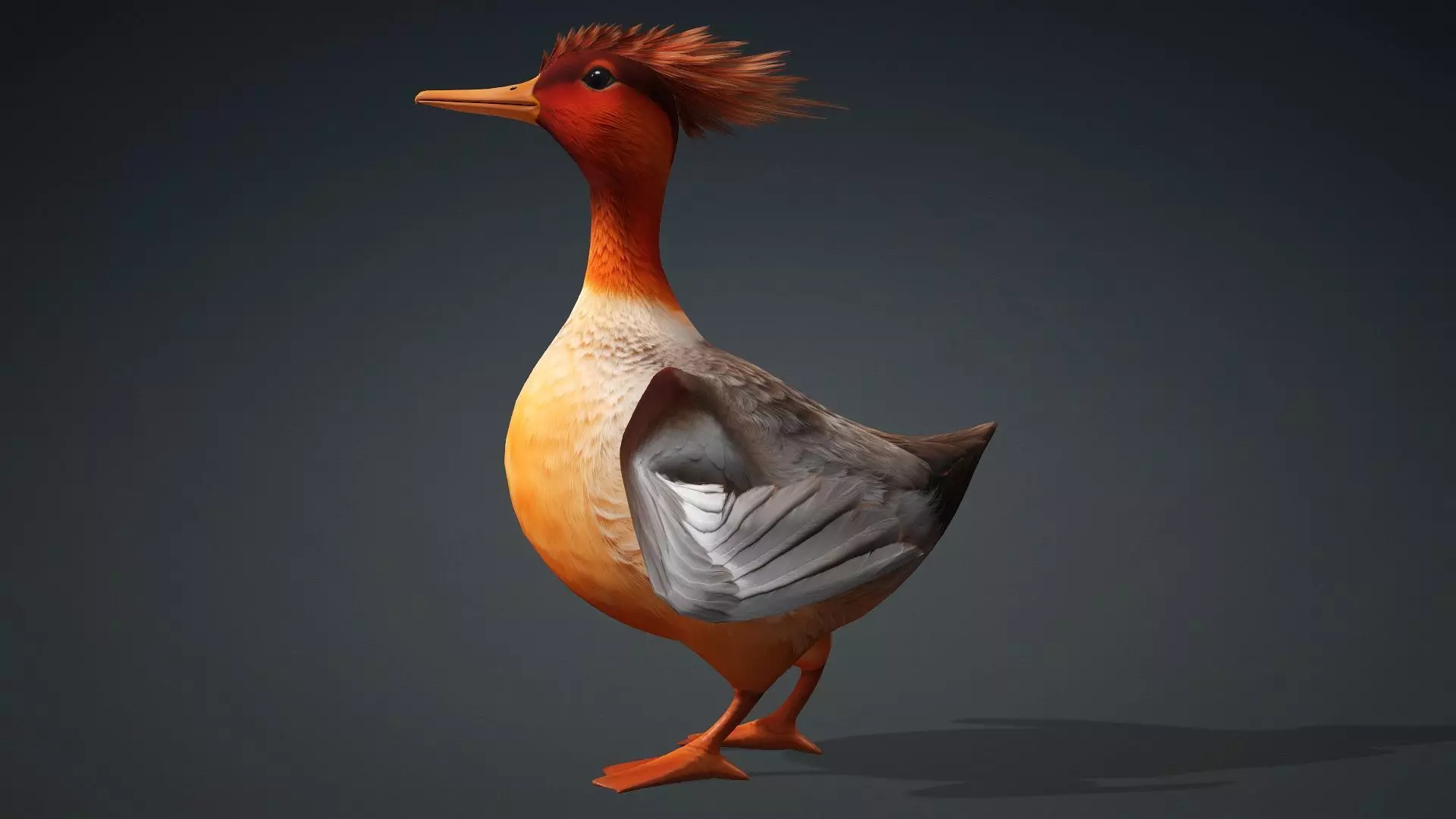 Duck-B4 3D model_13