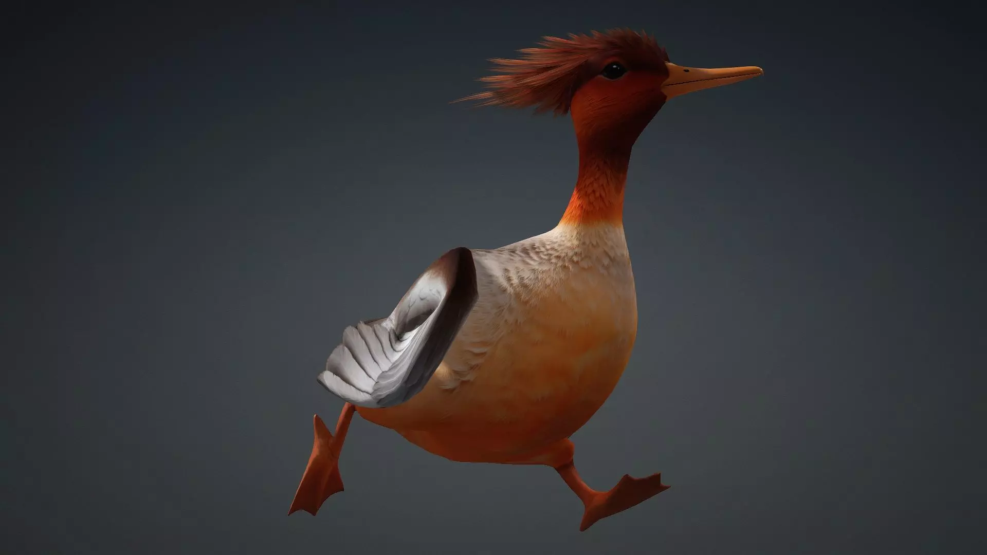 Duck-B4 3D model_8