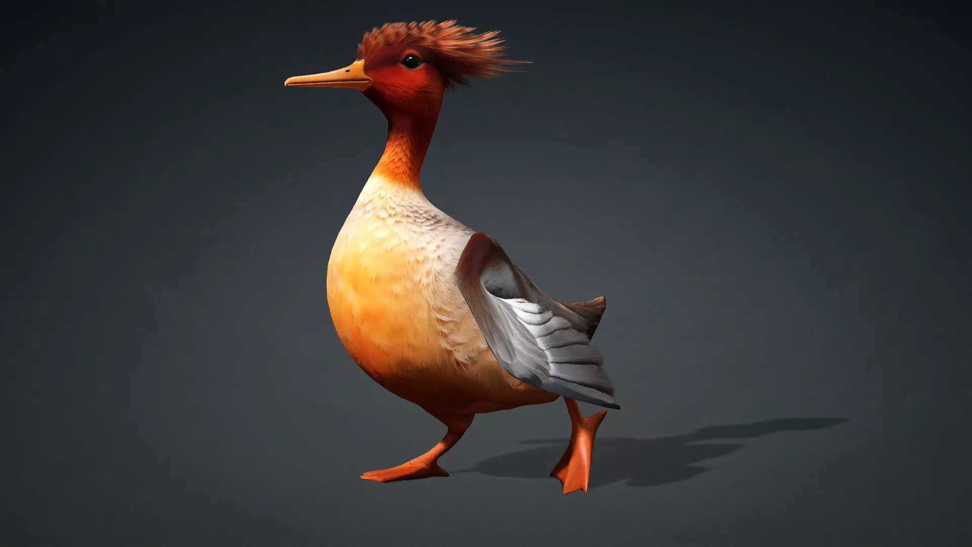 Duck-B4 3D model_2