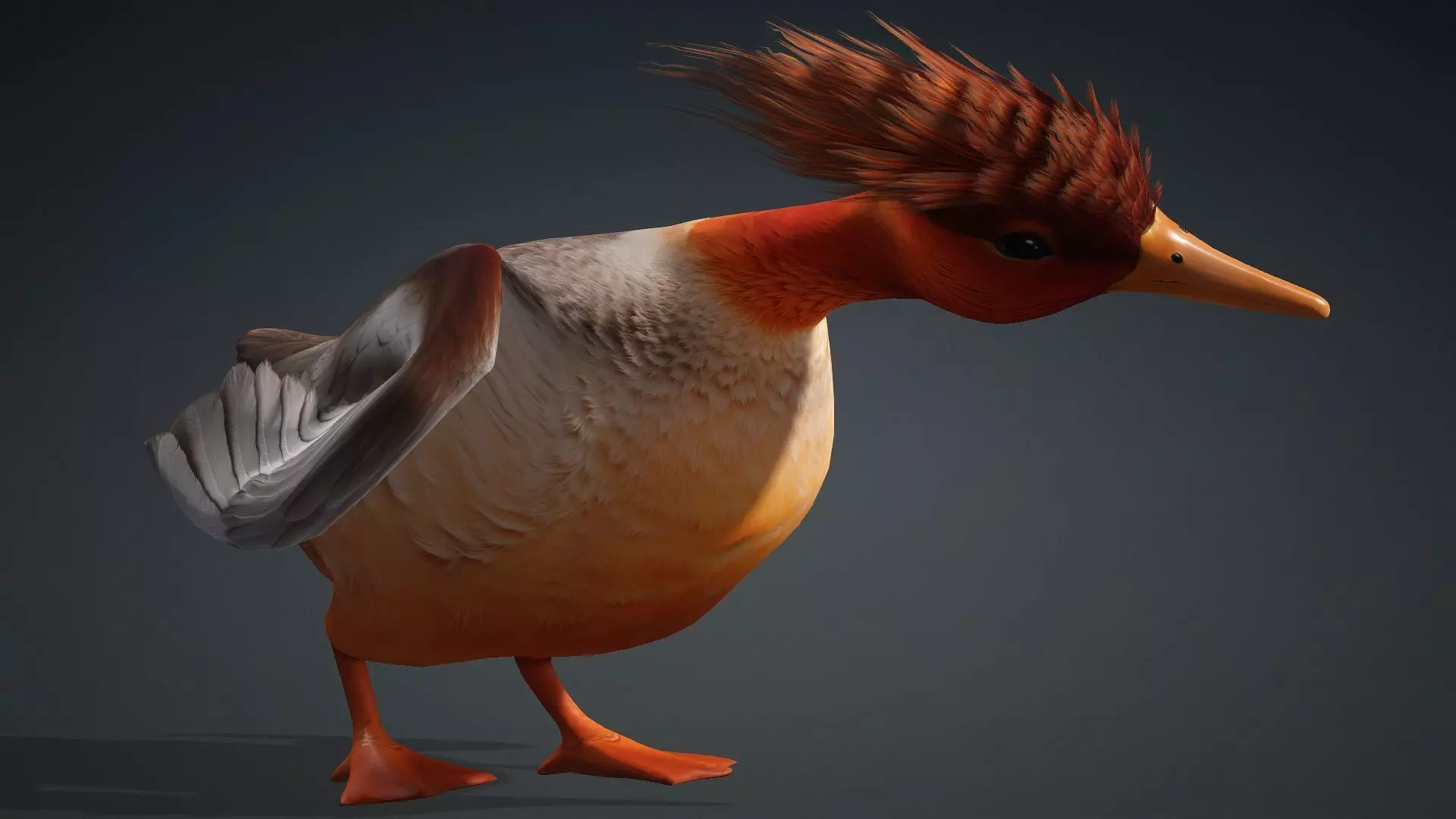 Duck-B4 3D model_15