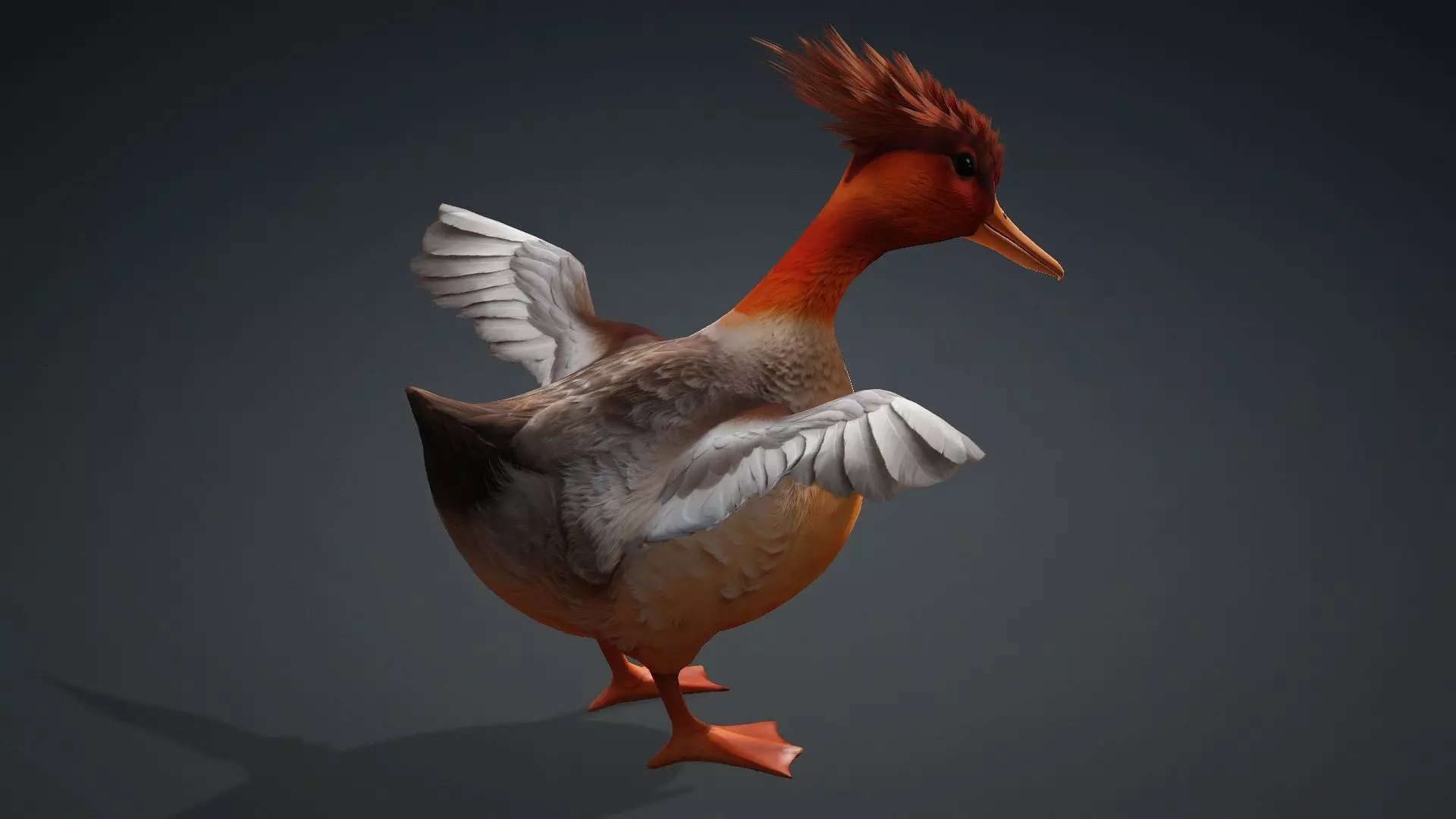 Duck-B4 3D model_11